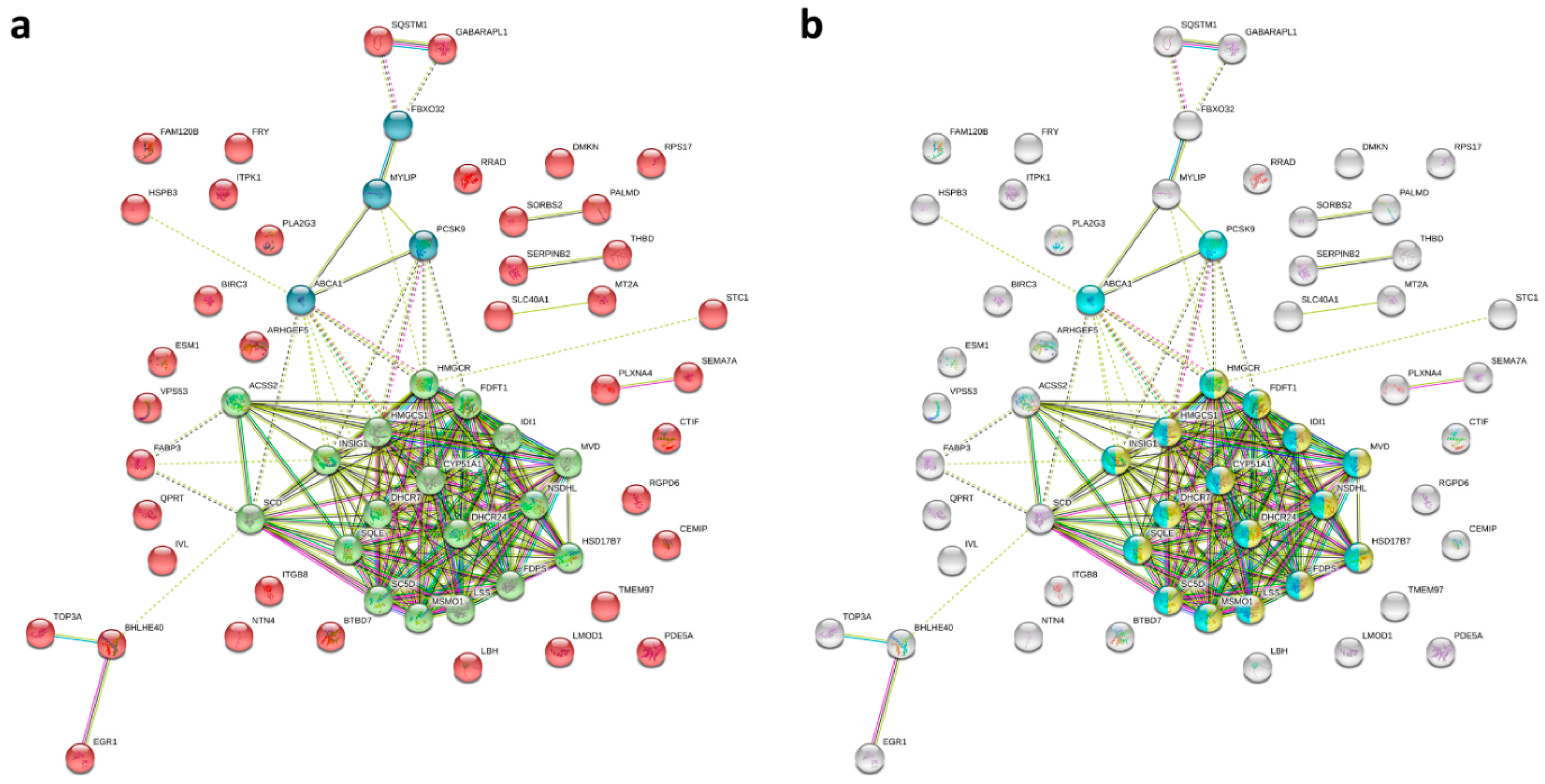Ijms 20 01958 g004 Ijms 20 01958 g004