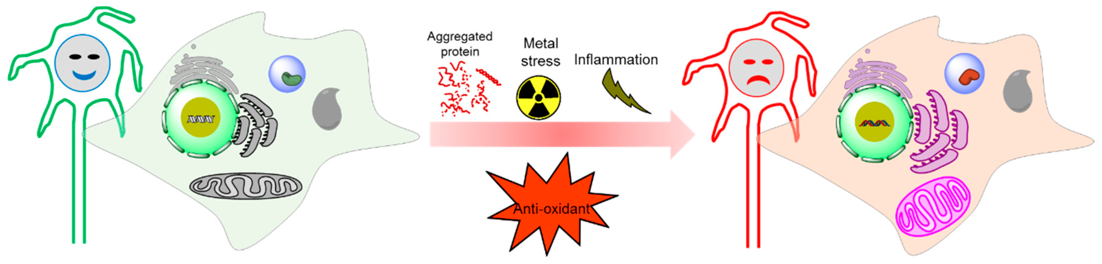 Ijms 20 01959 g004 Ijms 20 01959 g004
