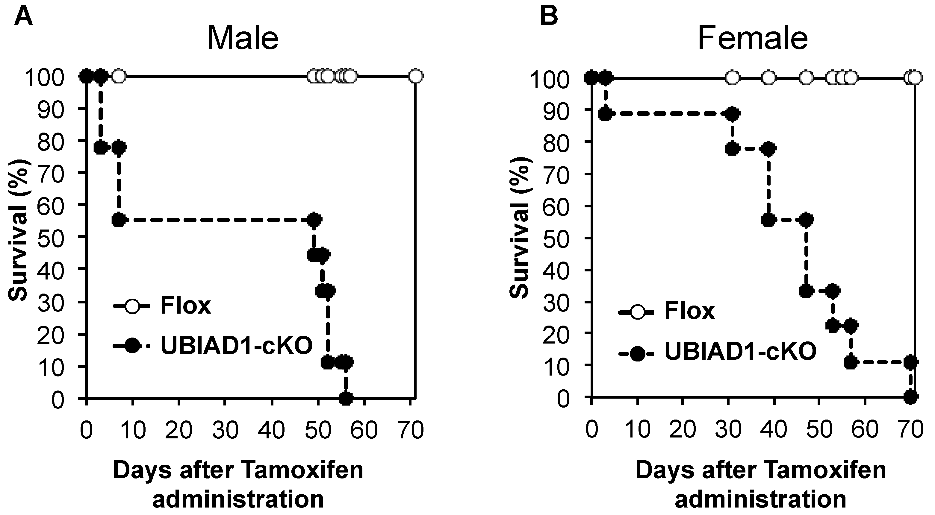 Ijms 20 01971 g001 Ijms 20 01971 g001