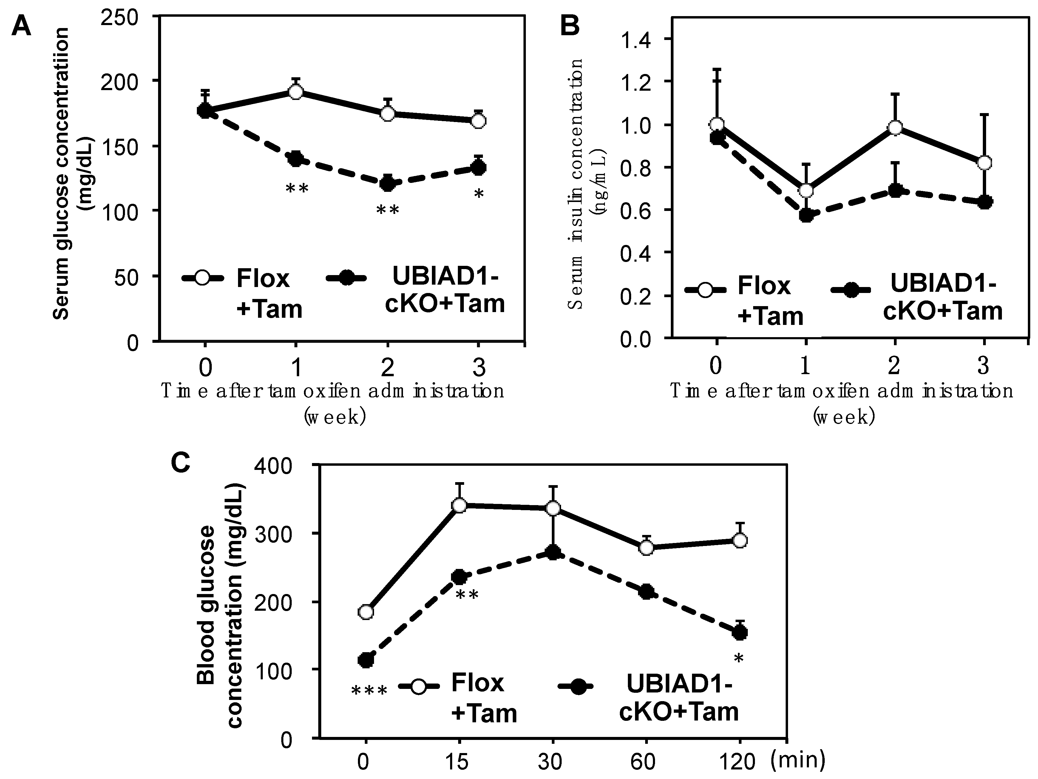 Ijms 20 01971 g008 Ijms 20 01971 g008