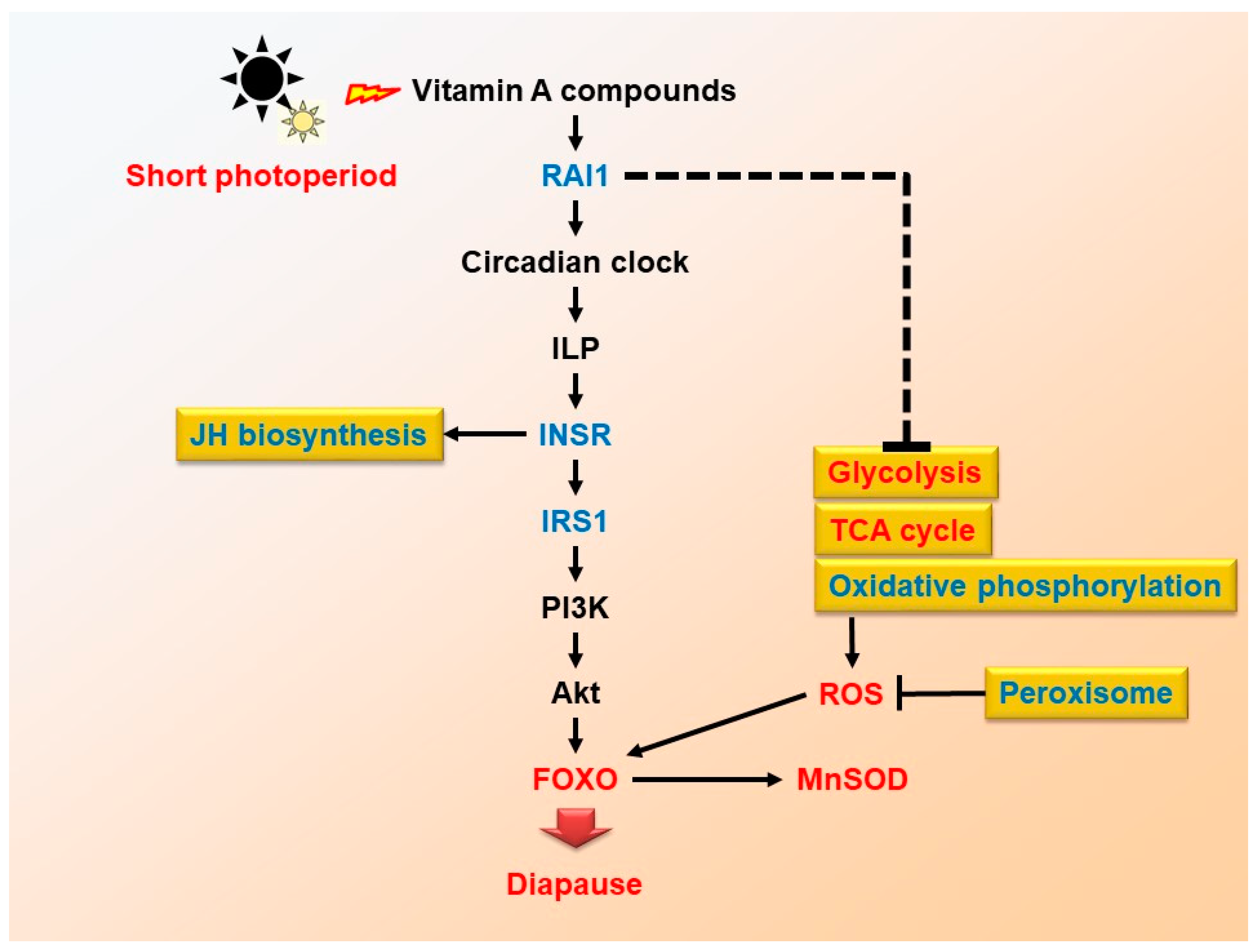 Ijms 20 01974 g006 Ijms 20 01974 g006
