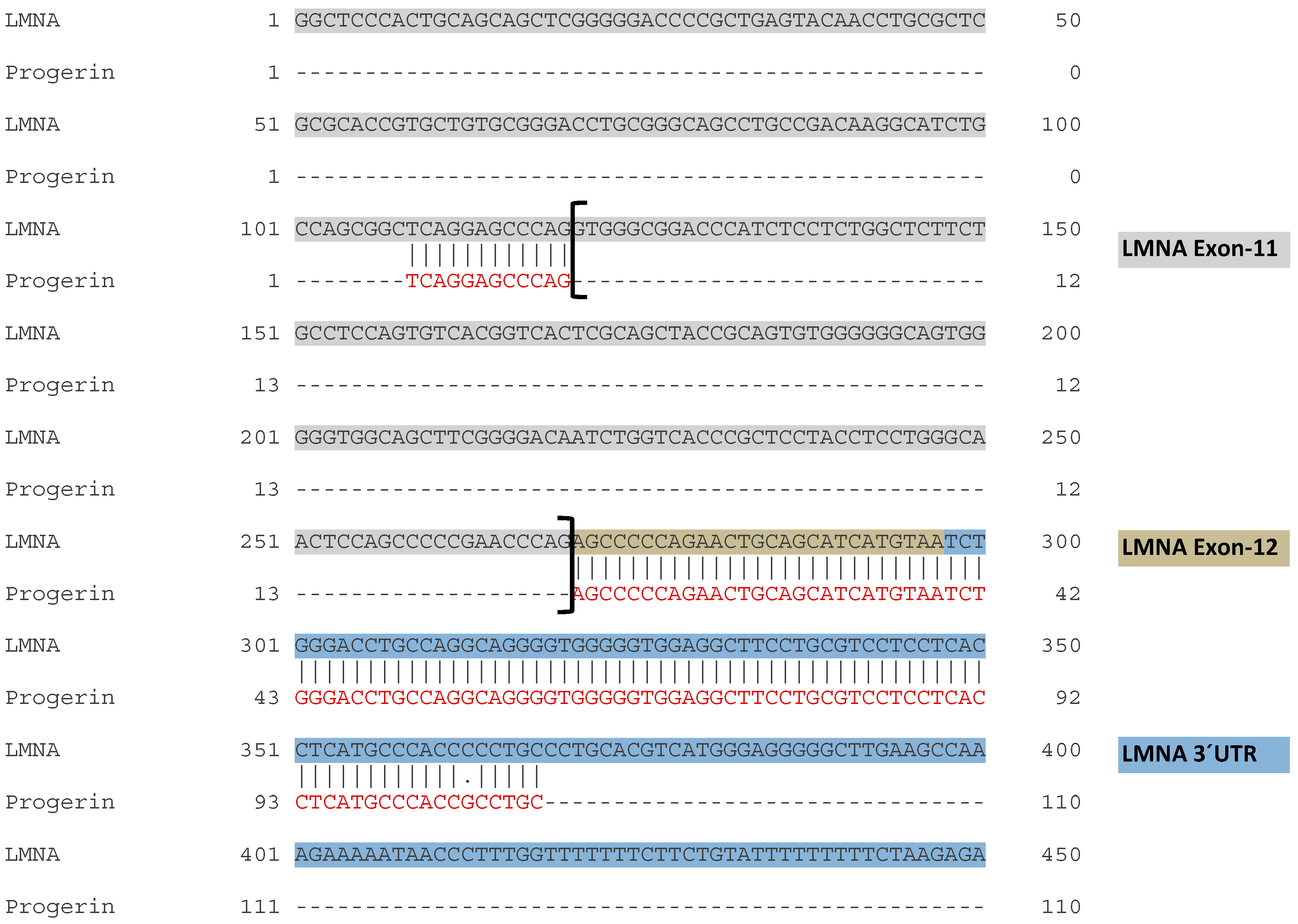 Ijms 20 01976 g0a1 Ijms 20 01976 g0a1