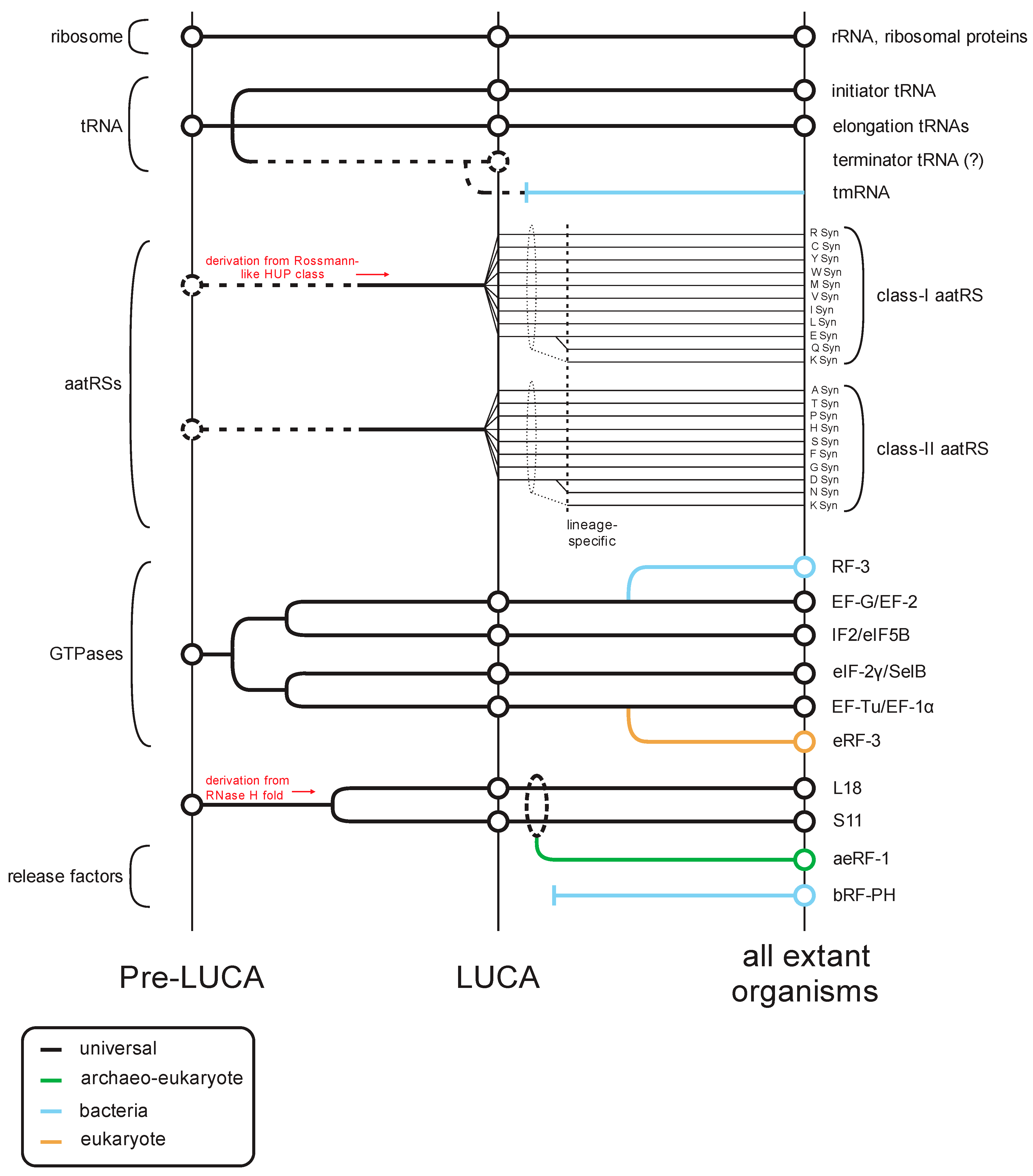 Ijms 20 01981 g001 Ijms 20 01981 g001