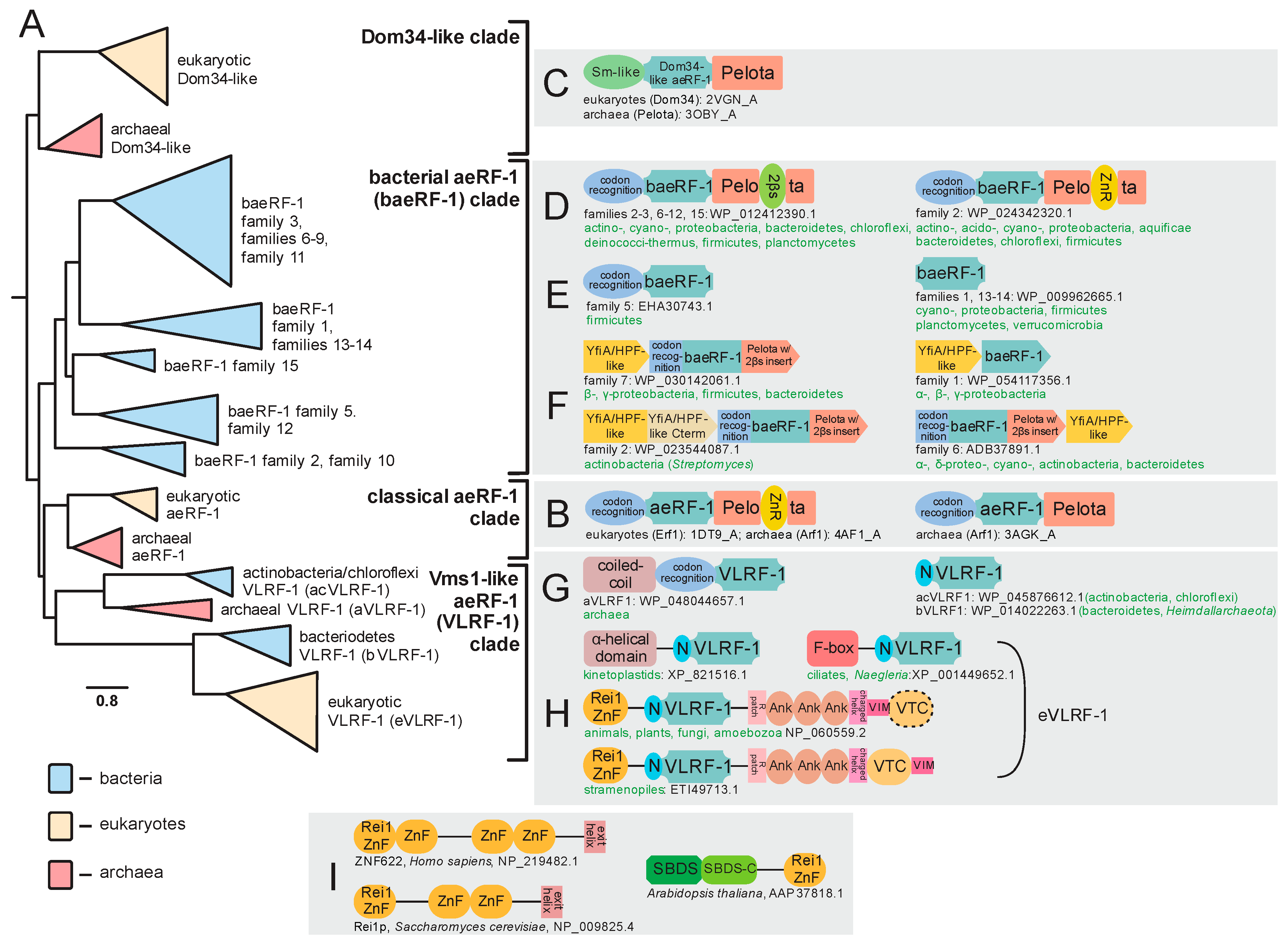 Ijms 20 01981 g003 Ijms 20 01981 g003