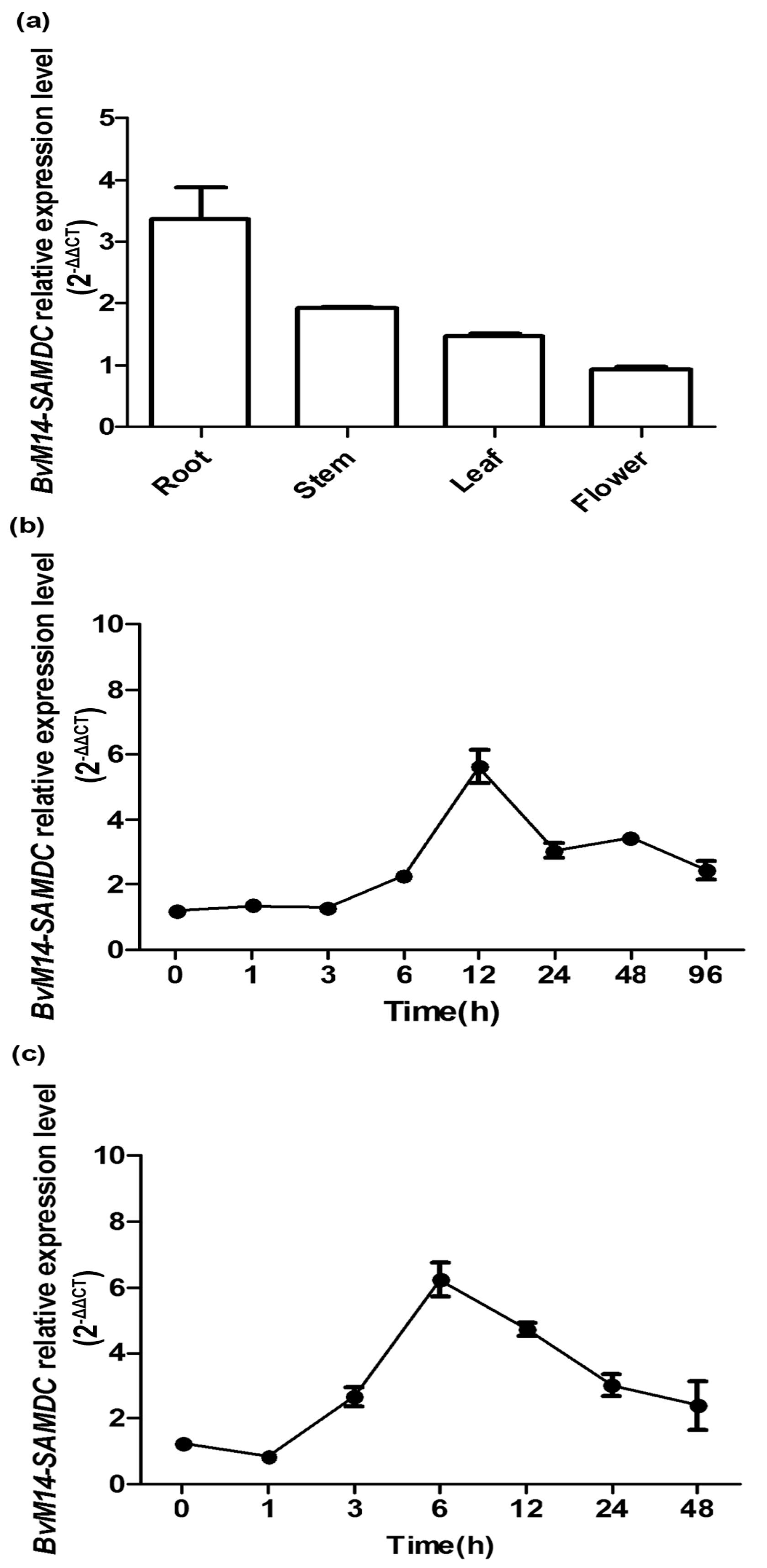 Ijms 20 01990 g002 Ijms 20 01990 g002