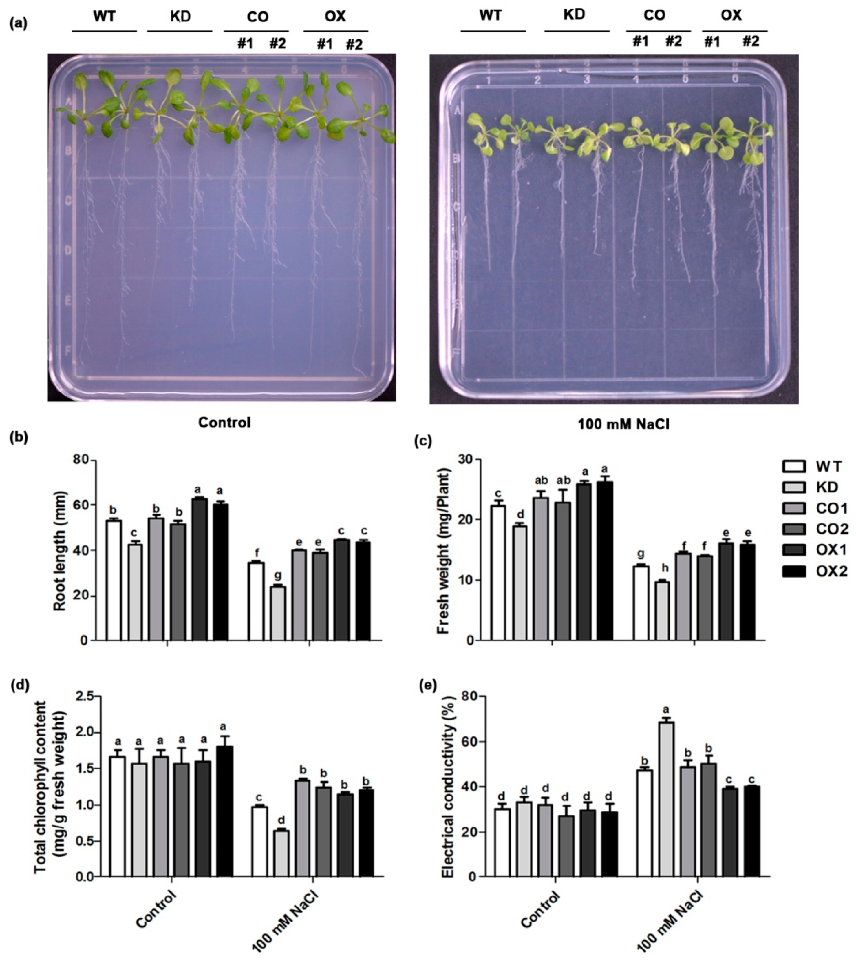 Ijms 20 01990 g003 Ijms 20 01990 g003