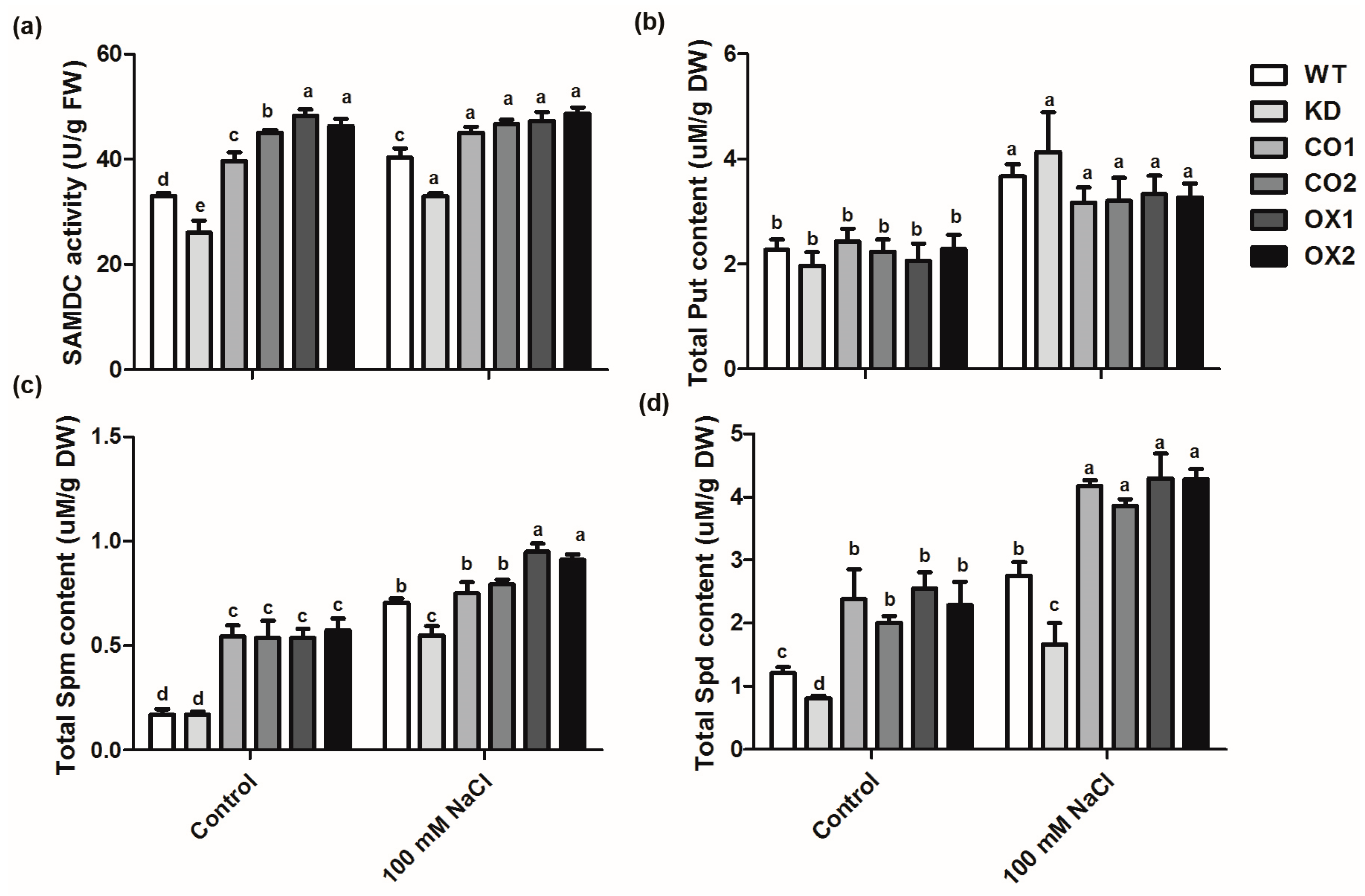 Ijms 20 01990 g005 Ijms 20 01990 g005