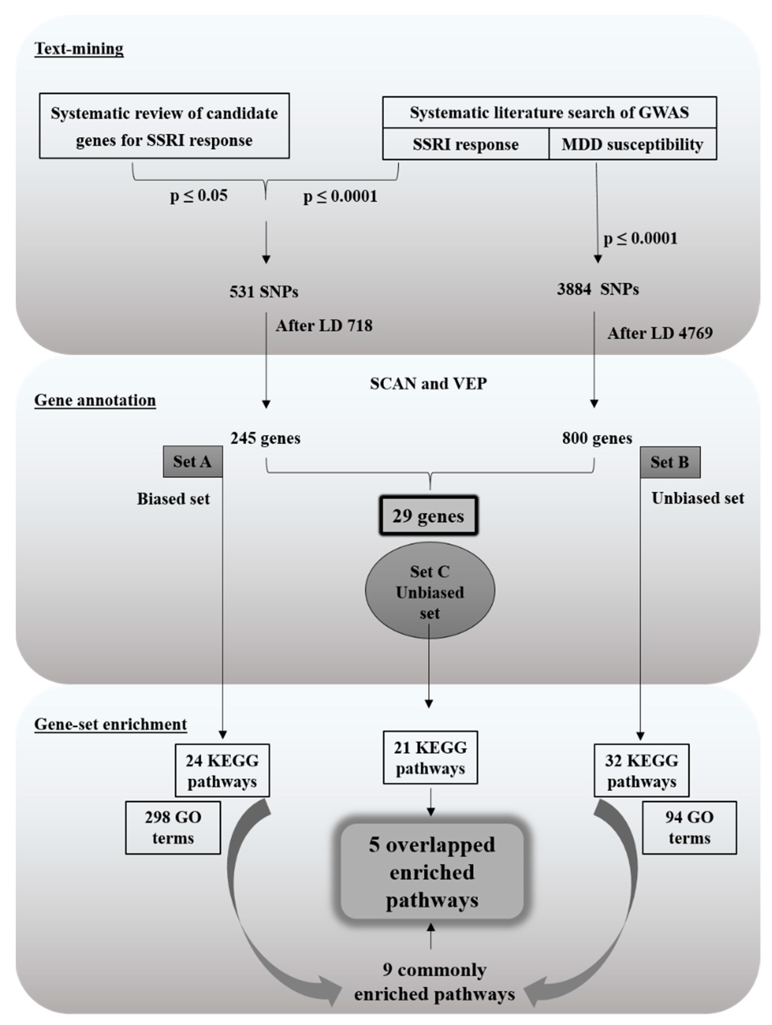 Ijms 20 01993 g004 Ijms 20 01993 g004