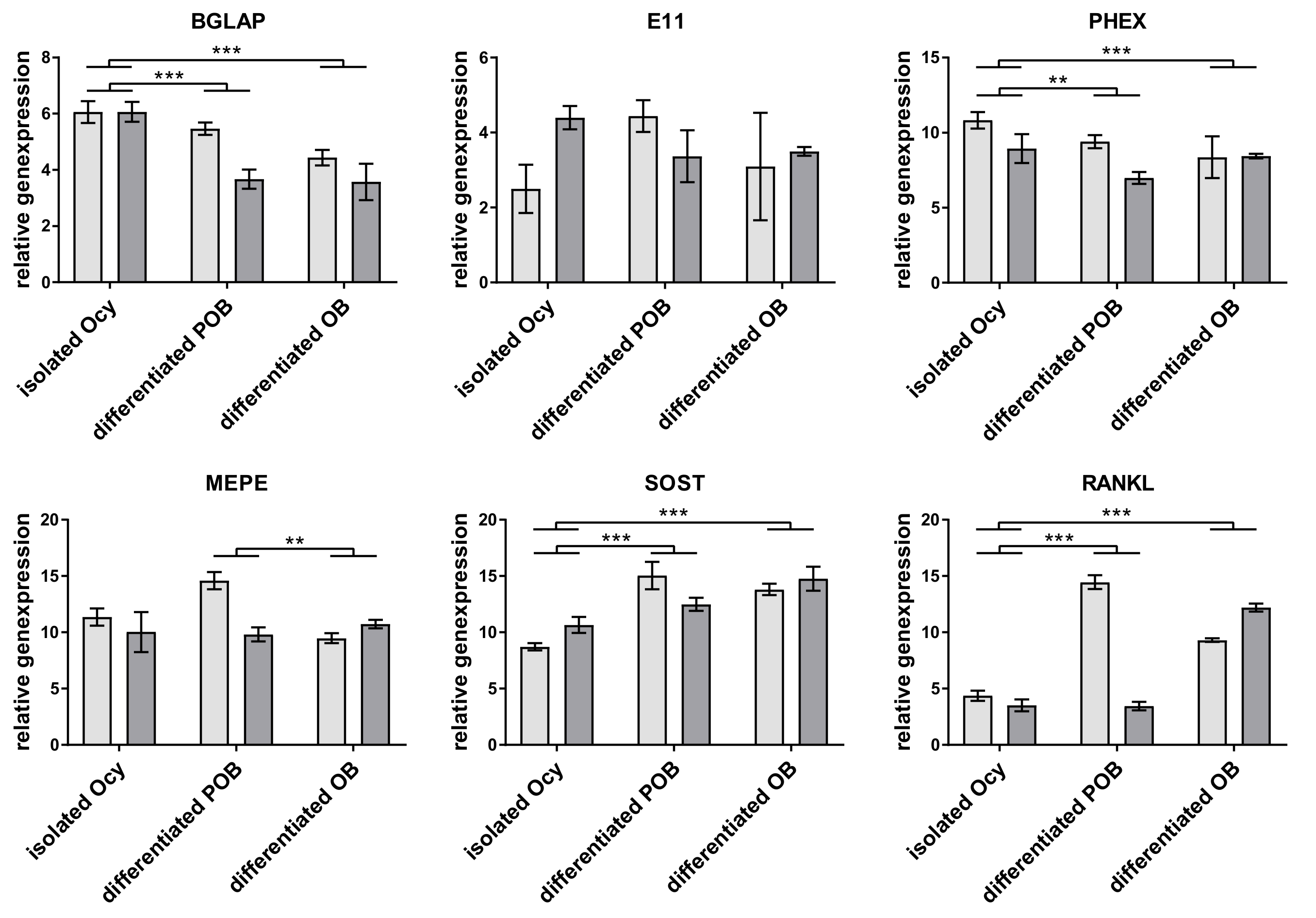 Ijms 20 01998 g002 550