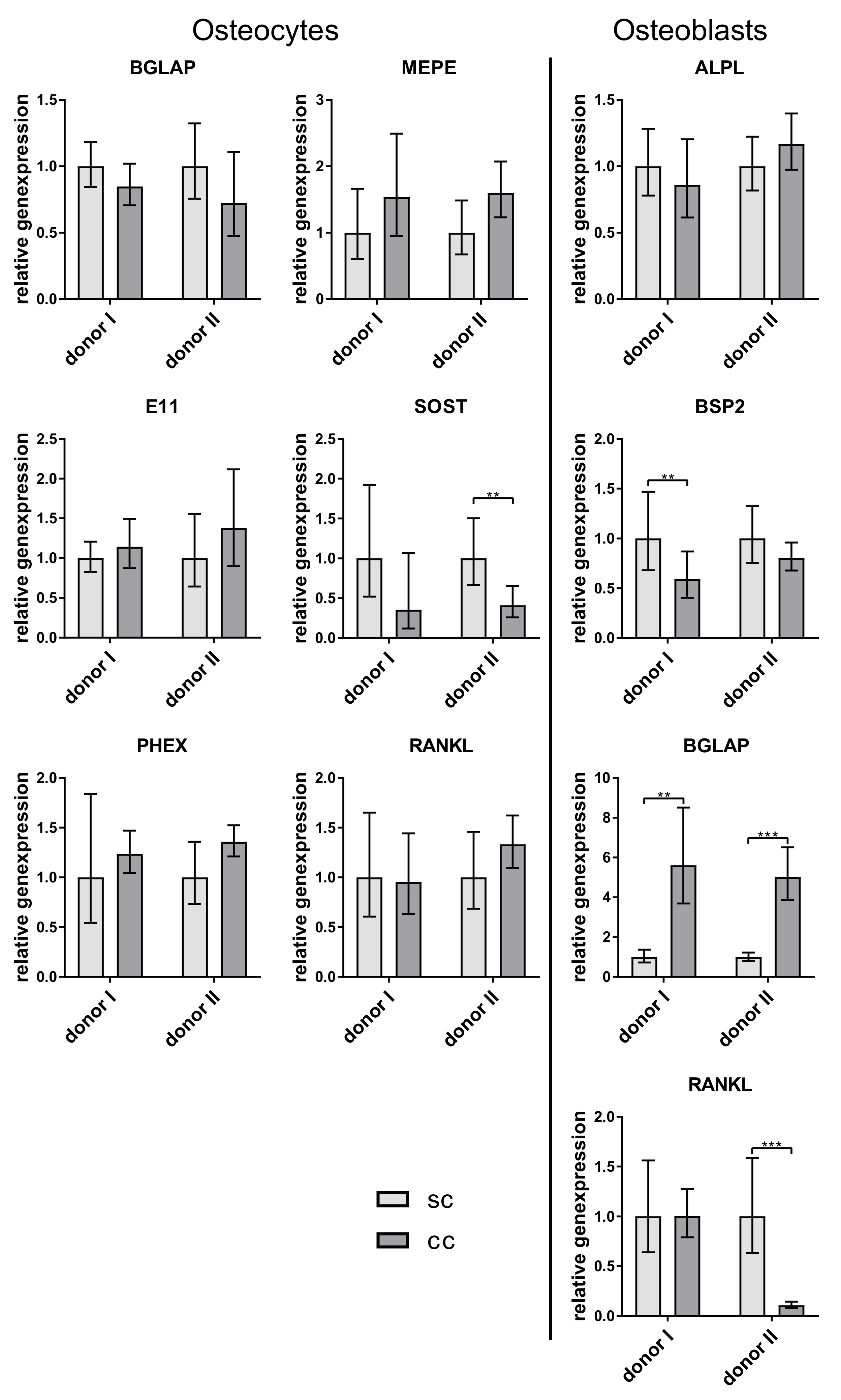 Ijms 20 01998 g005 550
