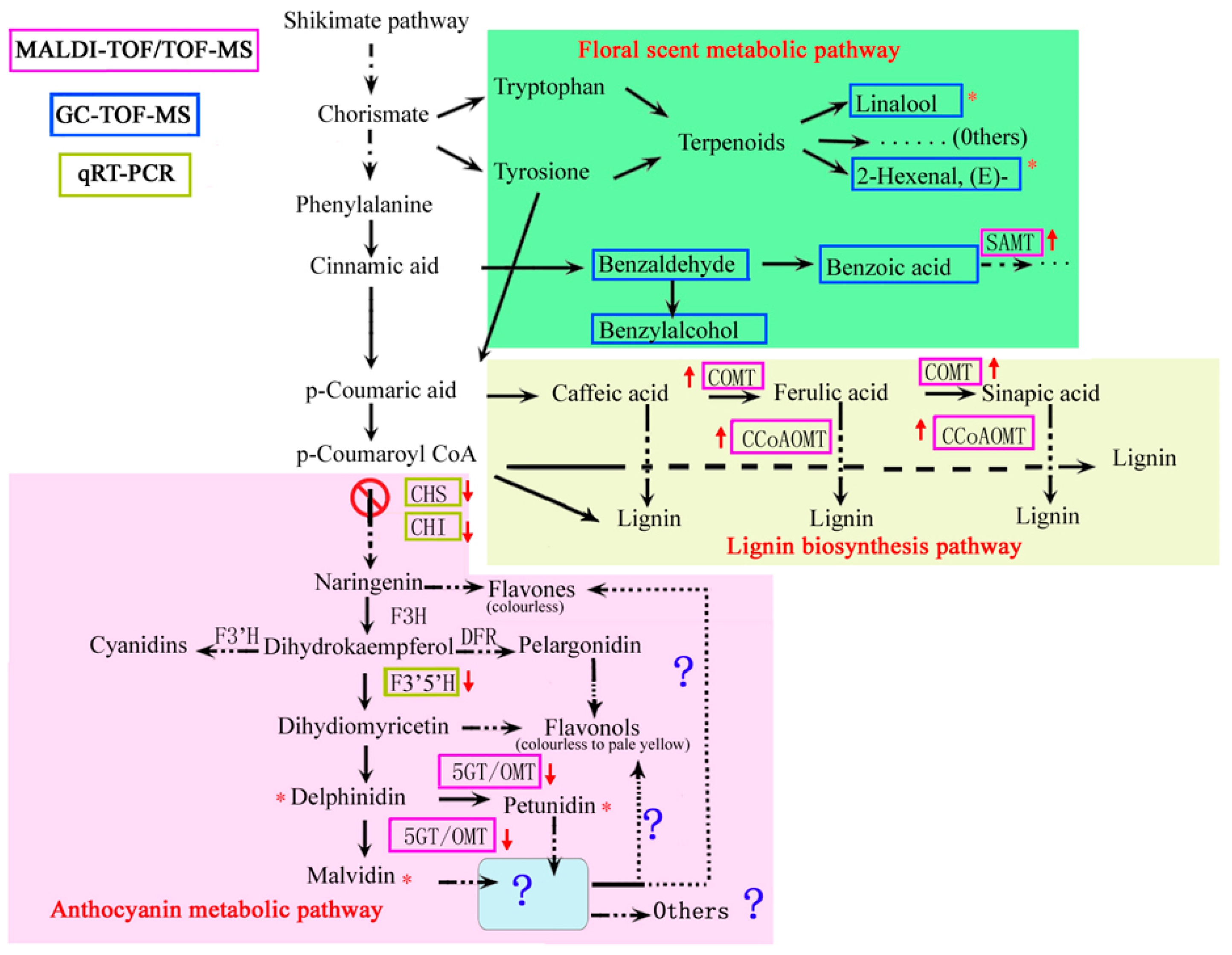 Ijms 20 02000 g008 Ijms 20 02000 g008
