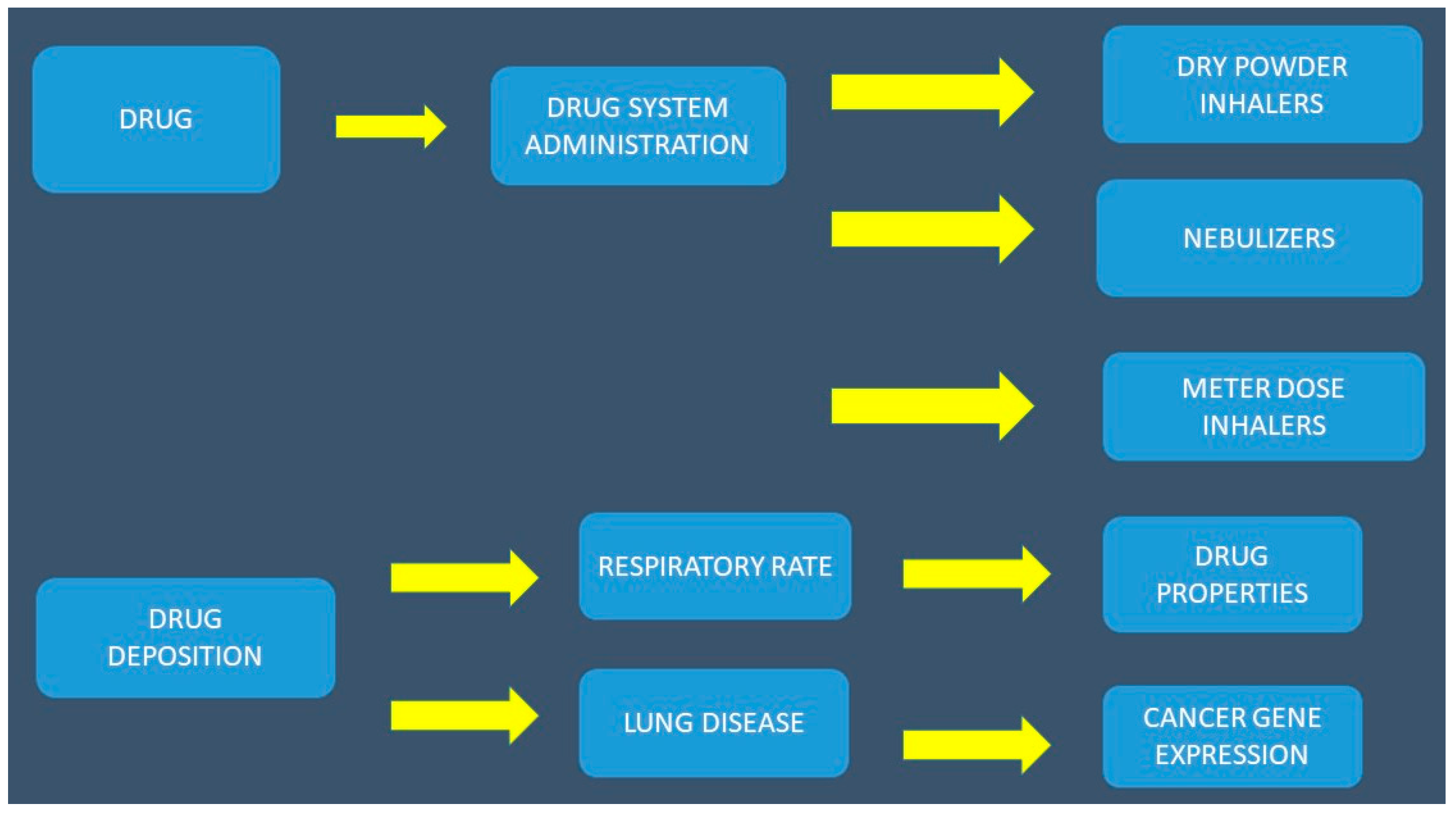 Ijms 20 02005 g001 Ijms 20 02005 g001