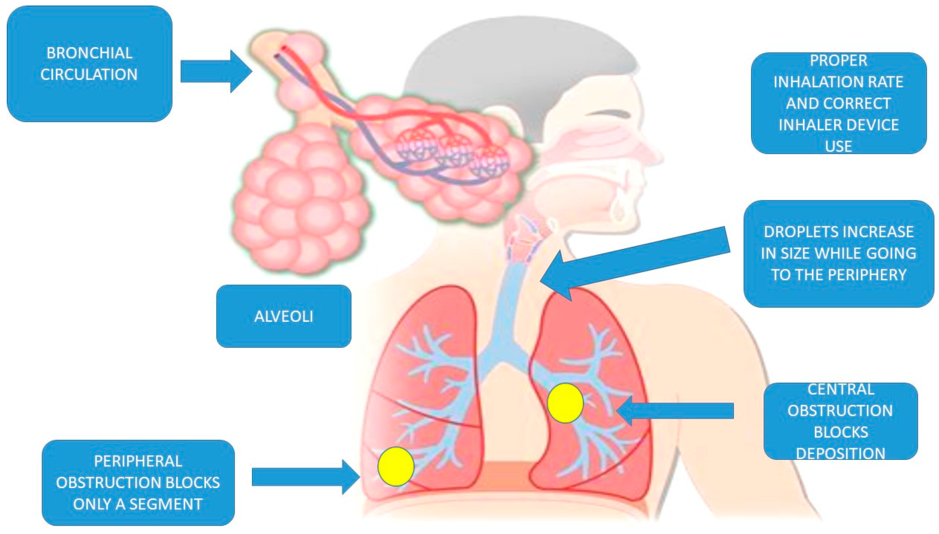 Ijms 20 02005 g002 Ijms 20 02005 g002