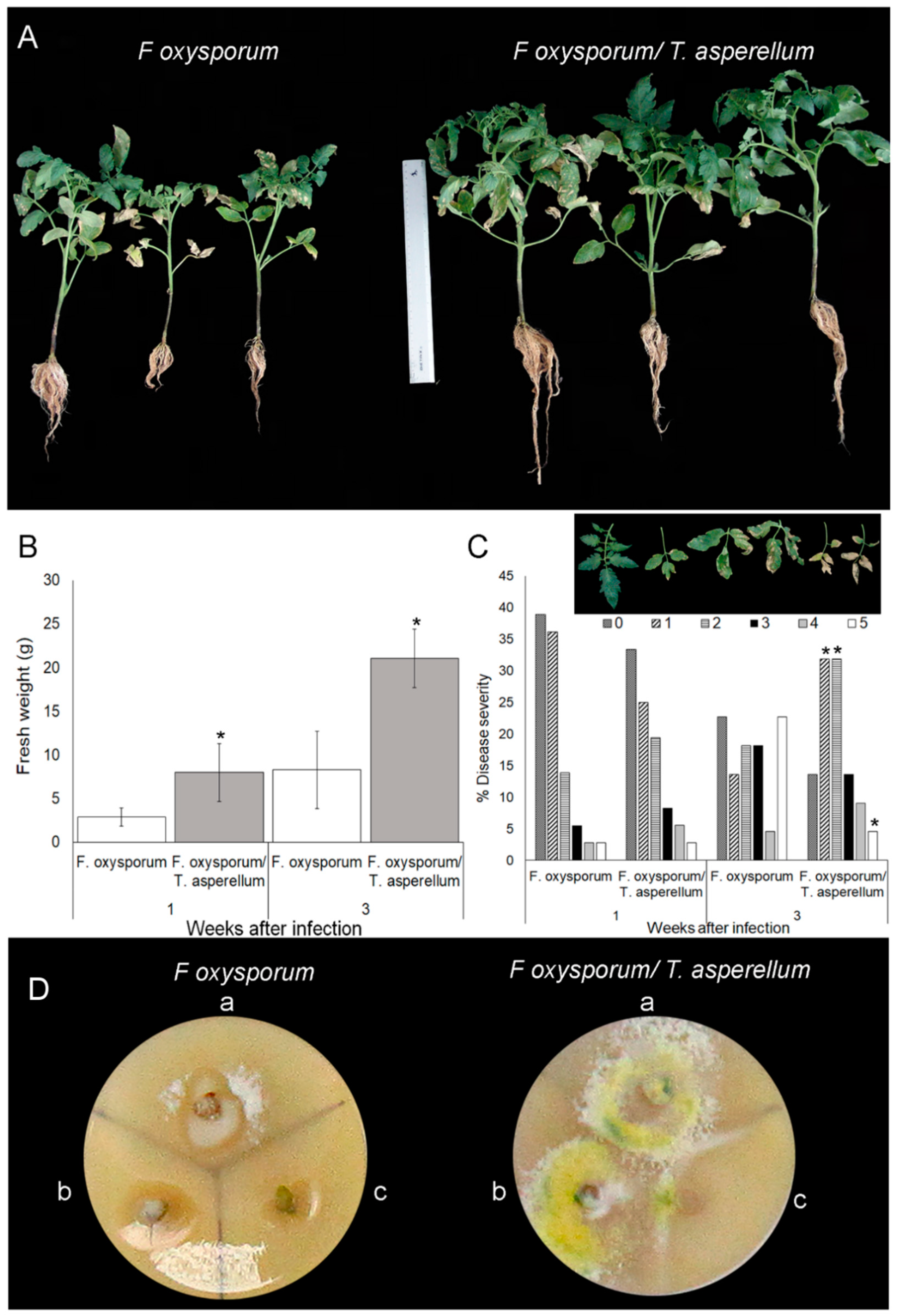 Ijms 20 02007 g002 Ijms 20 02007 g002