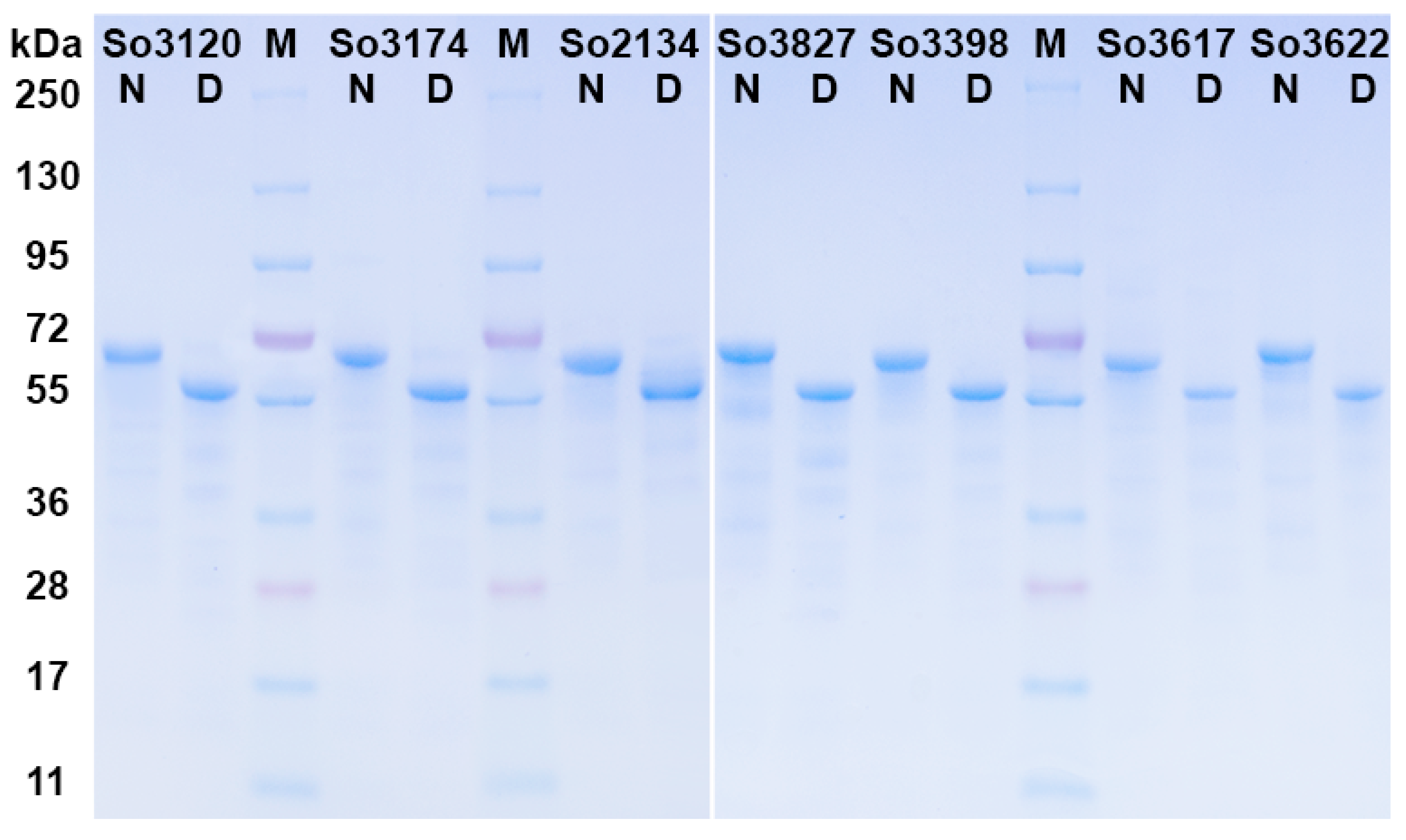 Ijms 20 02008 g001 550