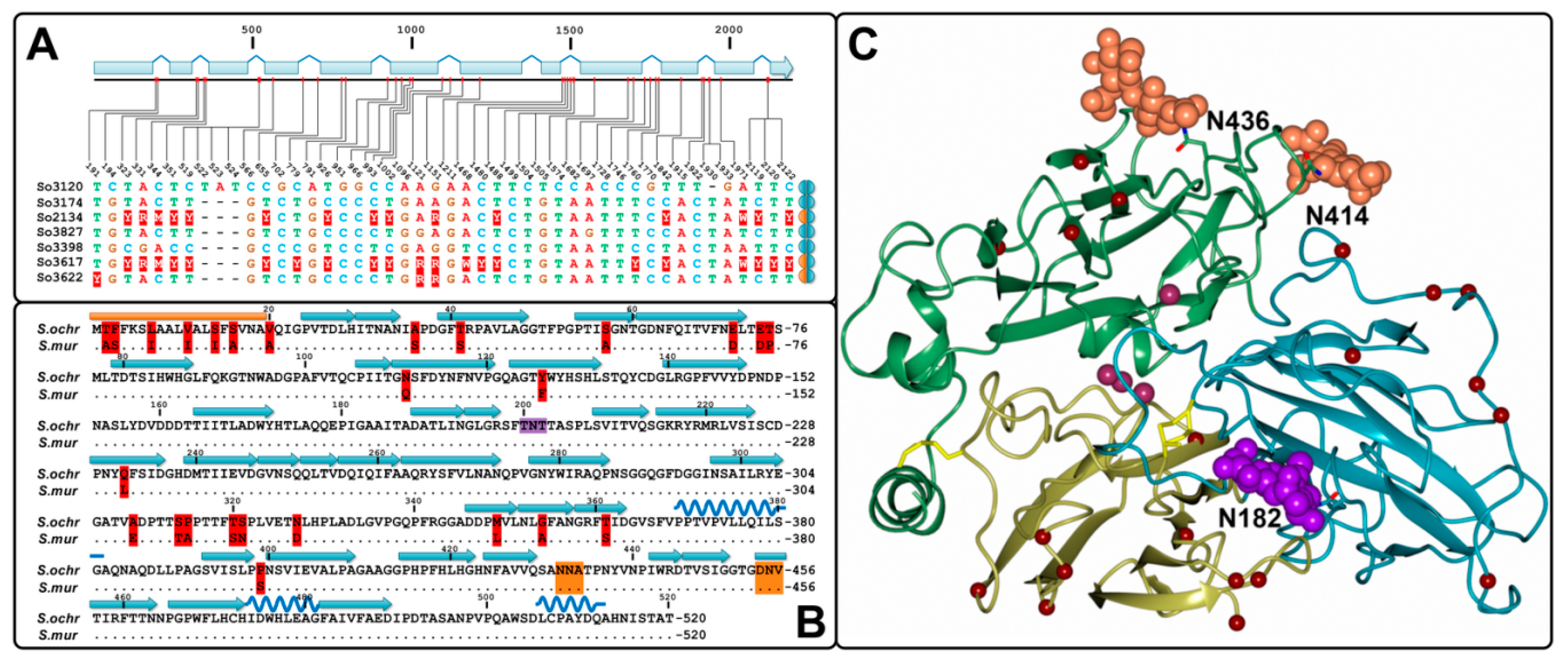 Ijms 20 02008 g002 550