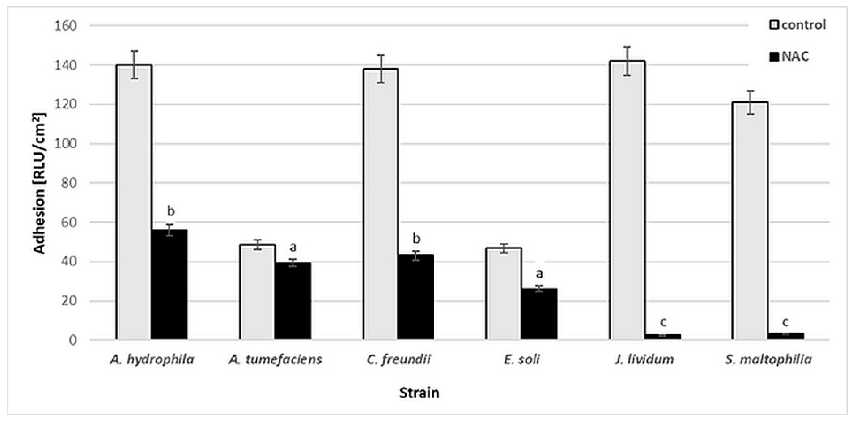 Ijms Free Full Text Antimicrobial And Antibiofilm N Acetyl L Cysteine Grafted Siloxane Polymers With Potential For Use In Water Systems Html