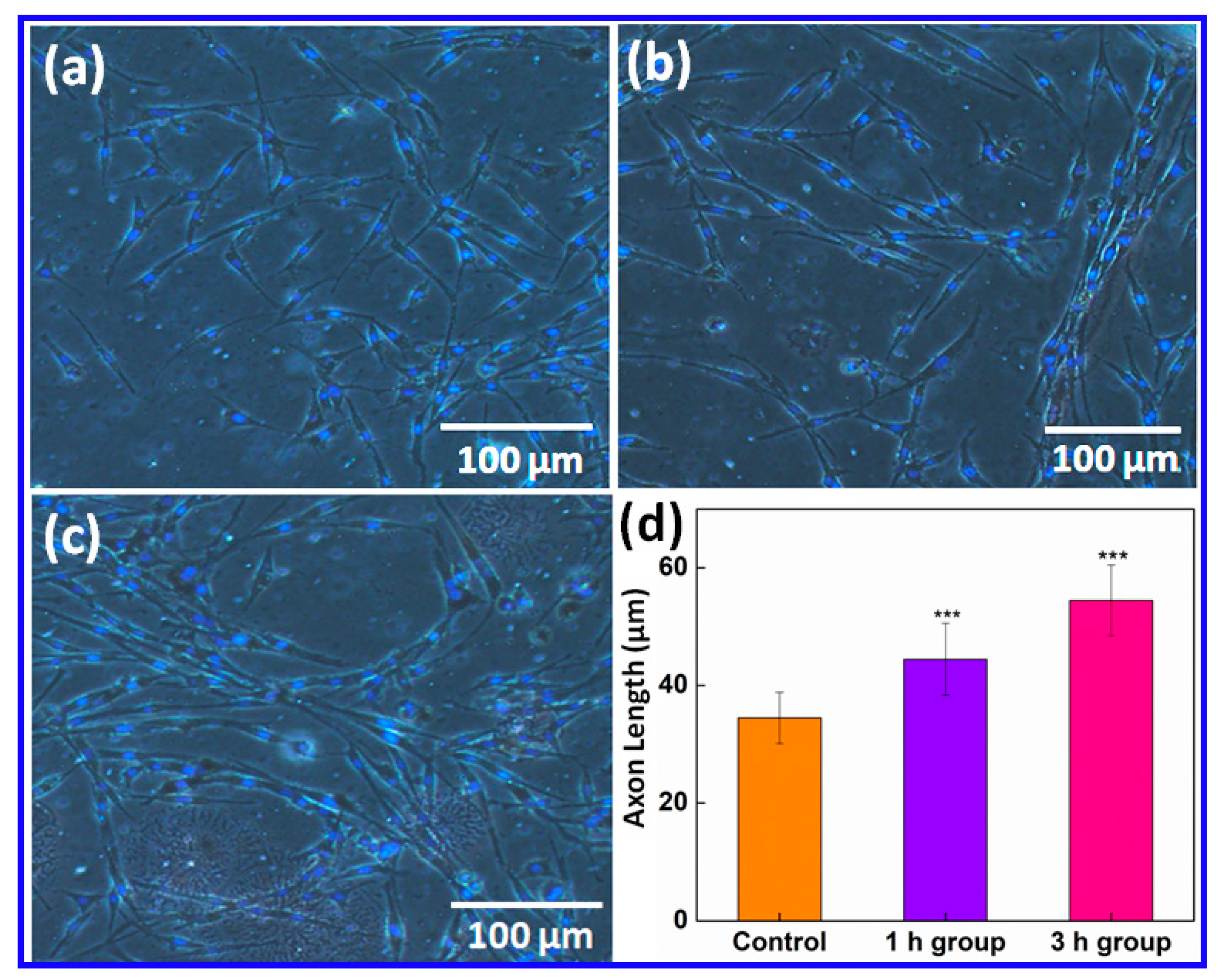 Ijms 20 02013 g002 550