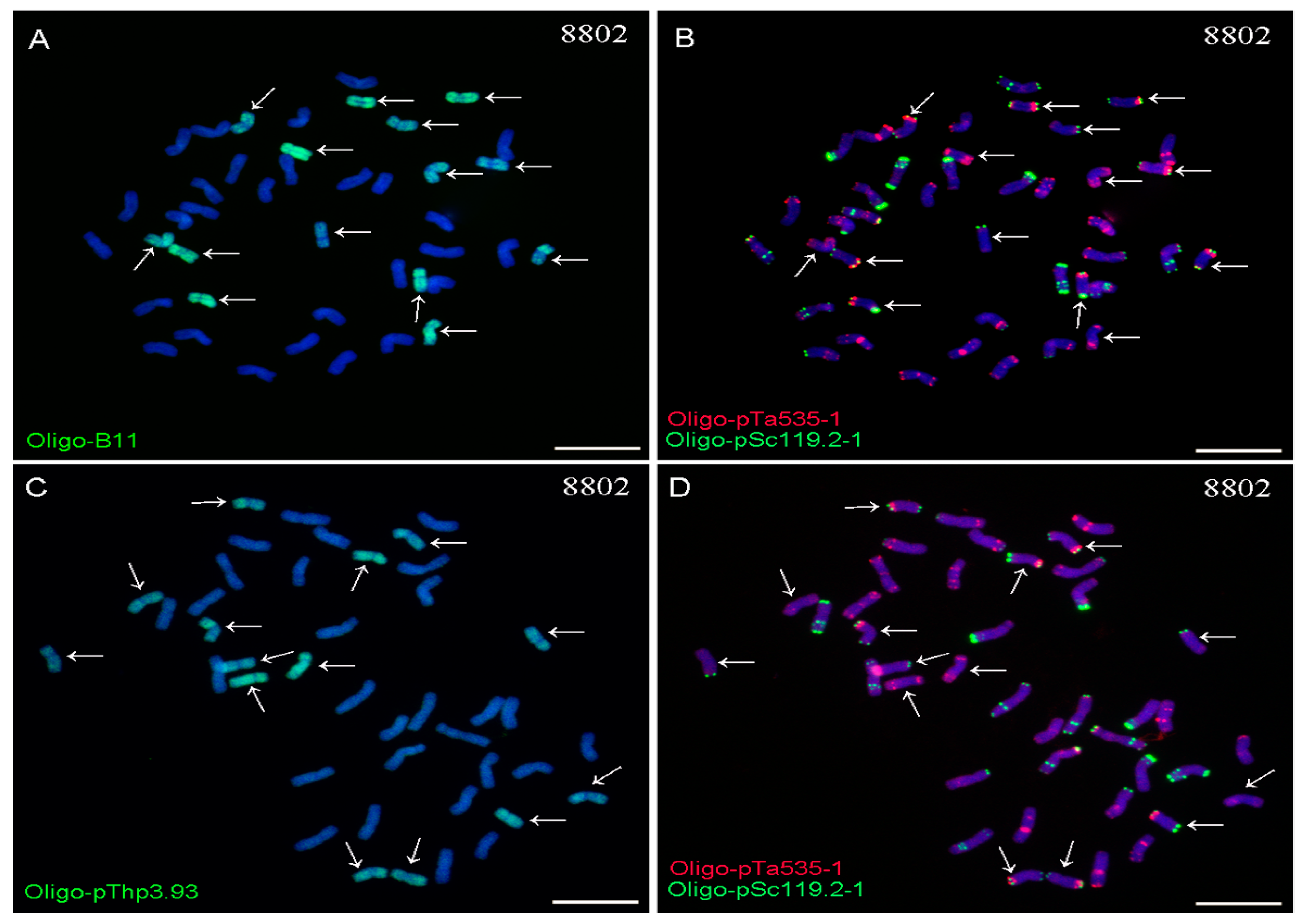 Ijms 20 02031 g002 Ijms 20 02031 g002