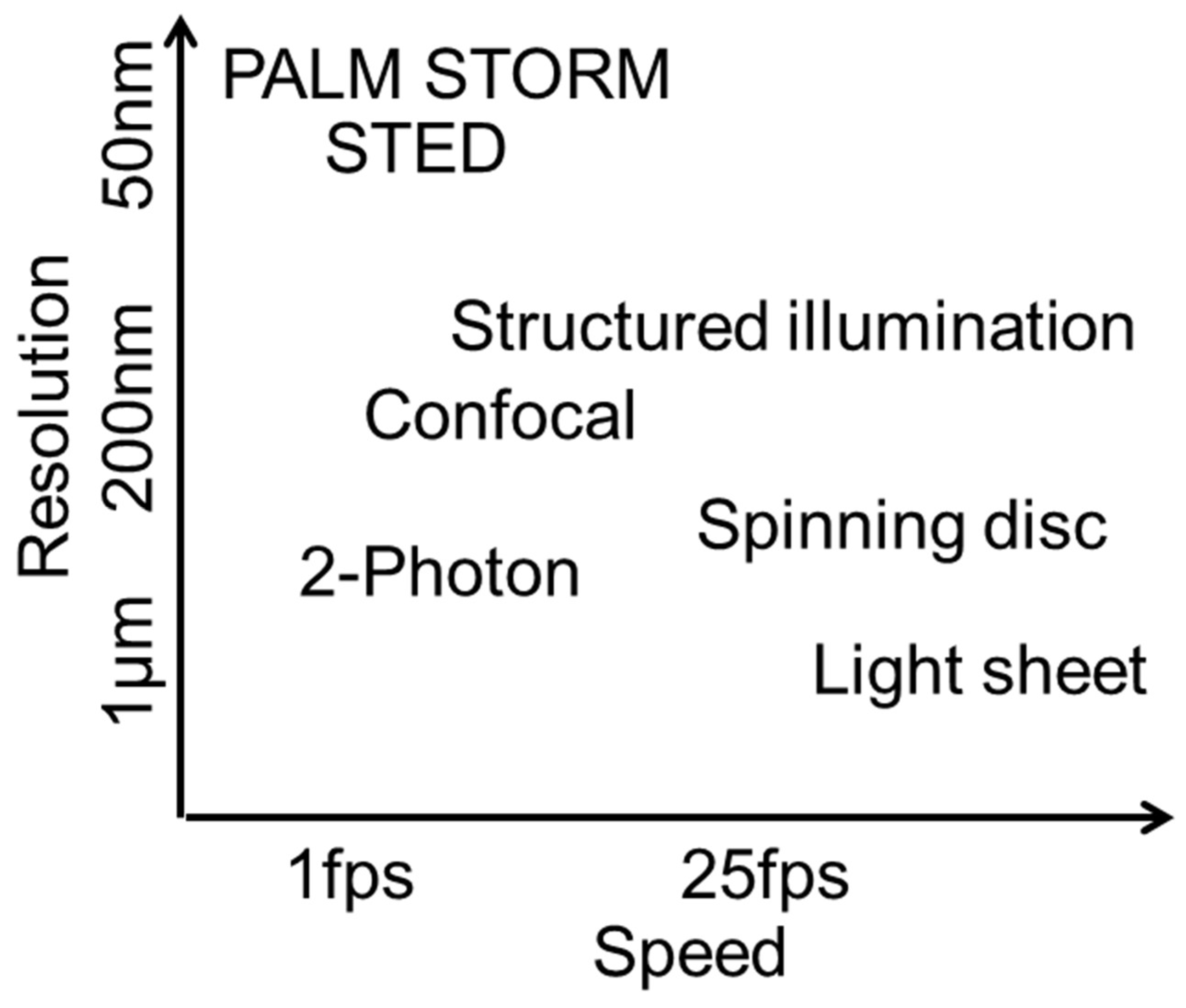 Ijms 20 02033 g007