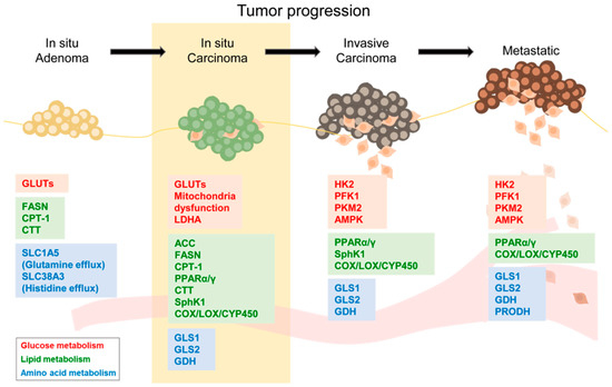 その他 kt Versatile Direct Cyclization Constructs Spiro‐acridan Derivatives