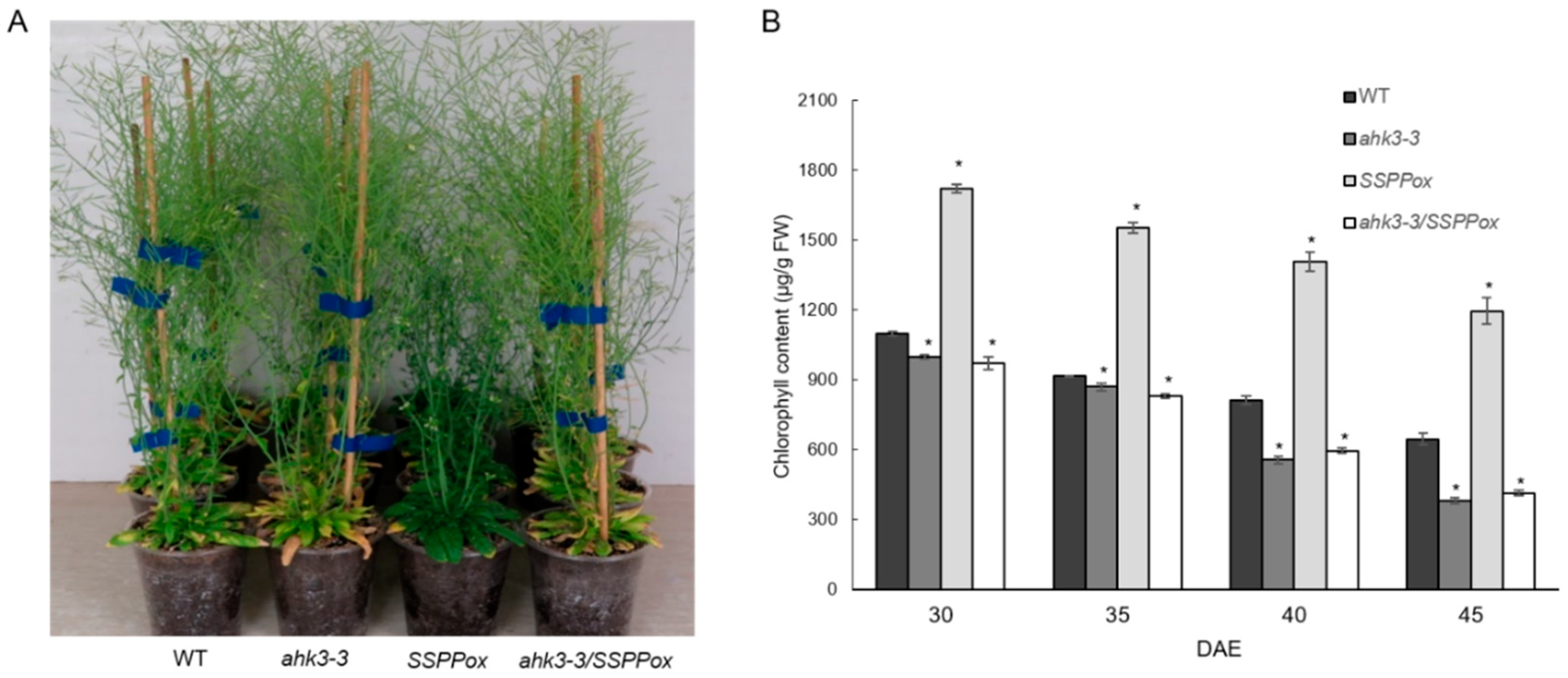 Ijms 20 02043 g001 Ijms 20 02043 g001