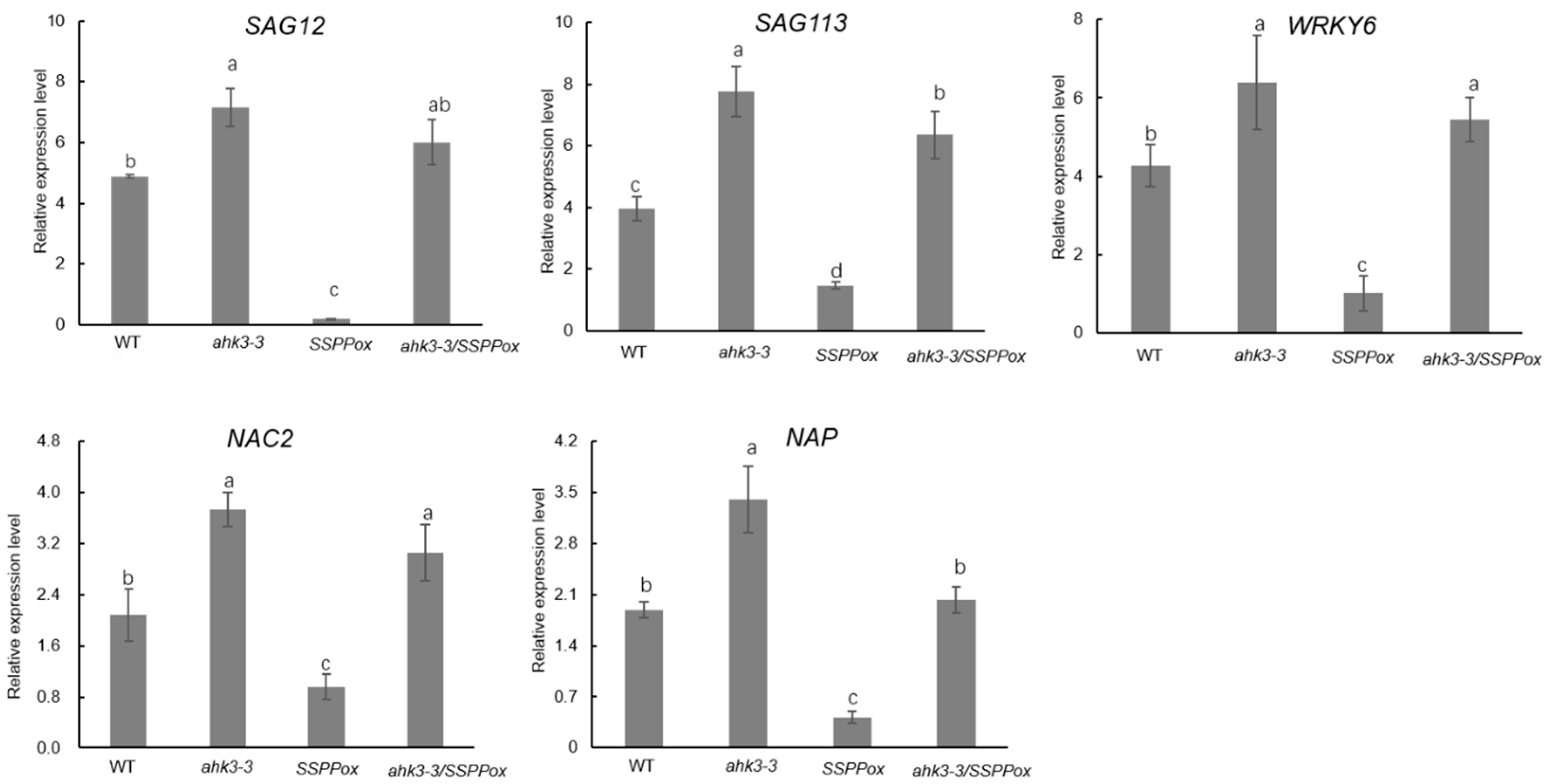Ijms 20 02043 g002 Ijms 20 02043 g002