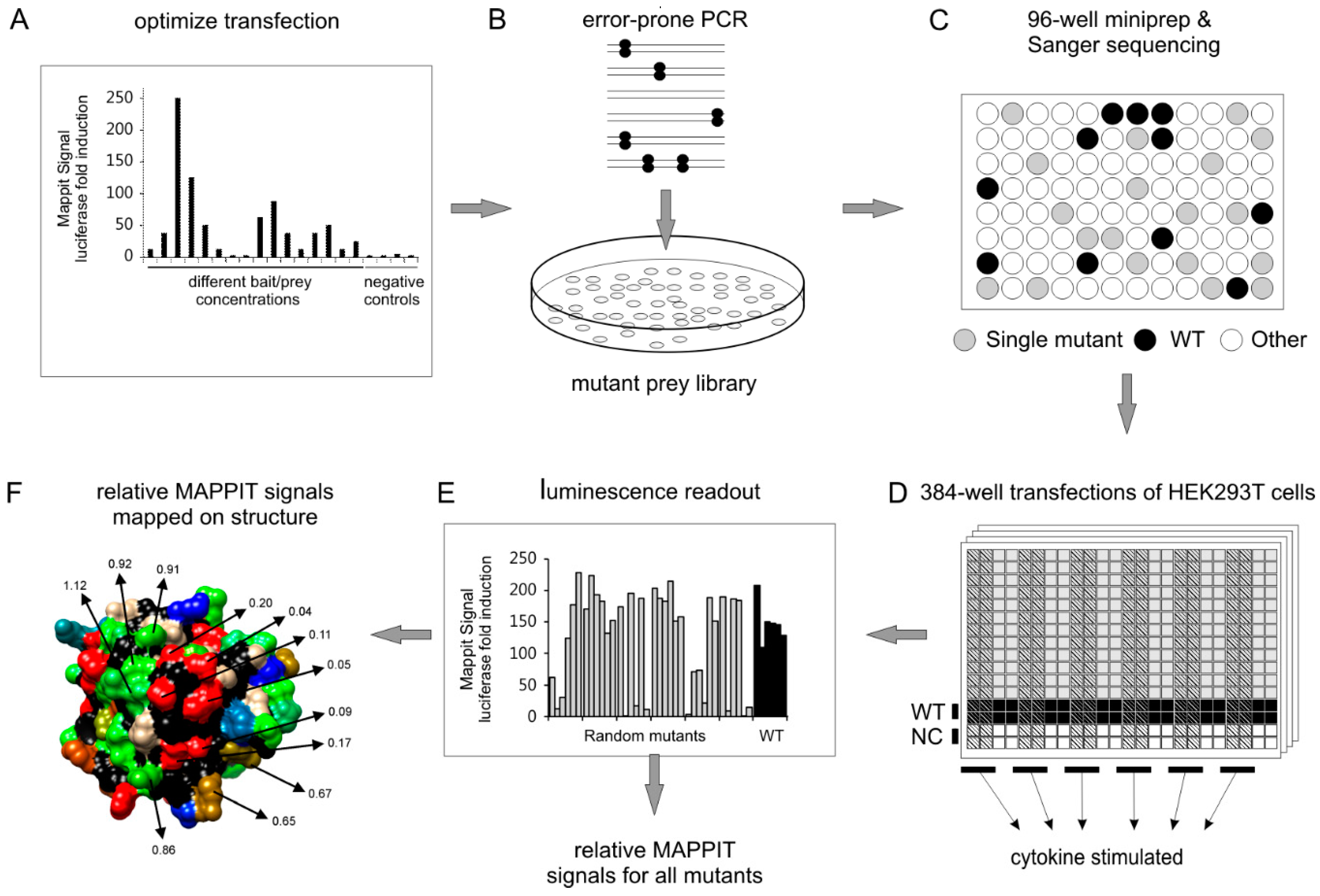 Ijms 20 02058 g002 Ijms 20 02058 g002