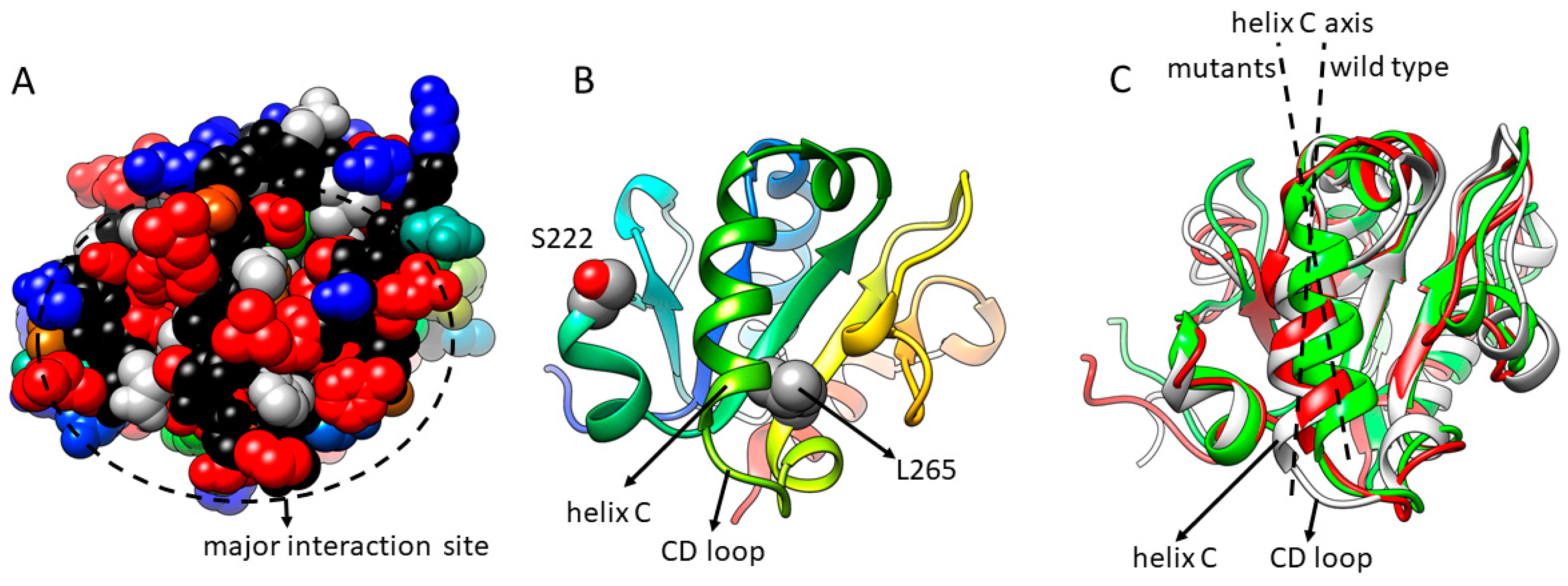 Ijms 20 02058 g004 Ijms 20 02058 g004