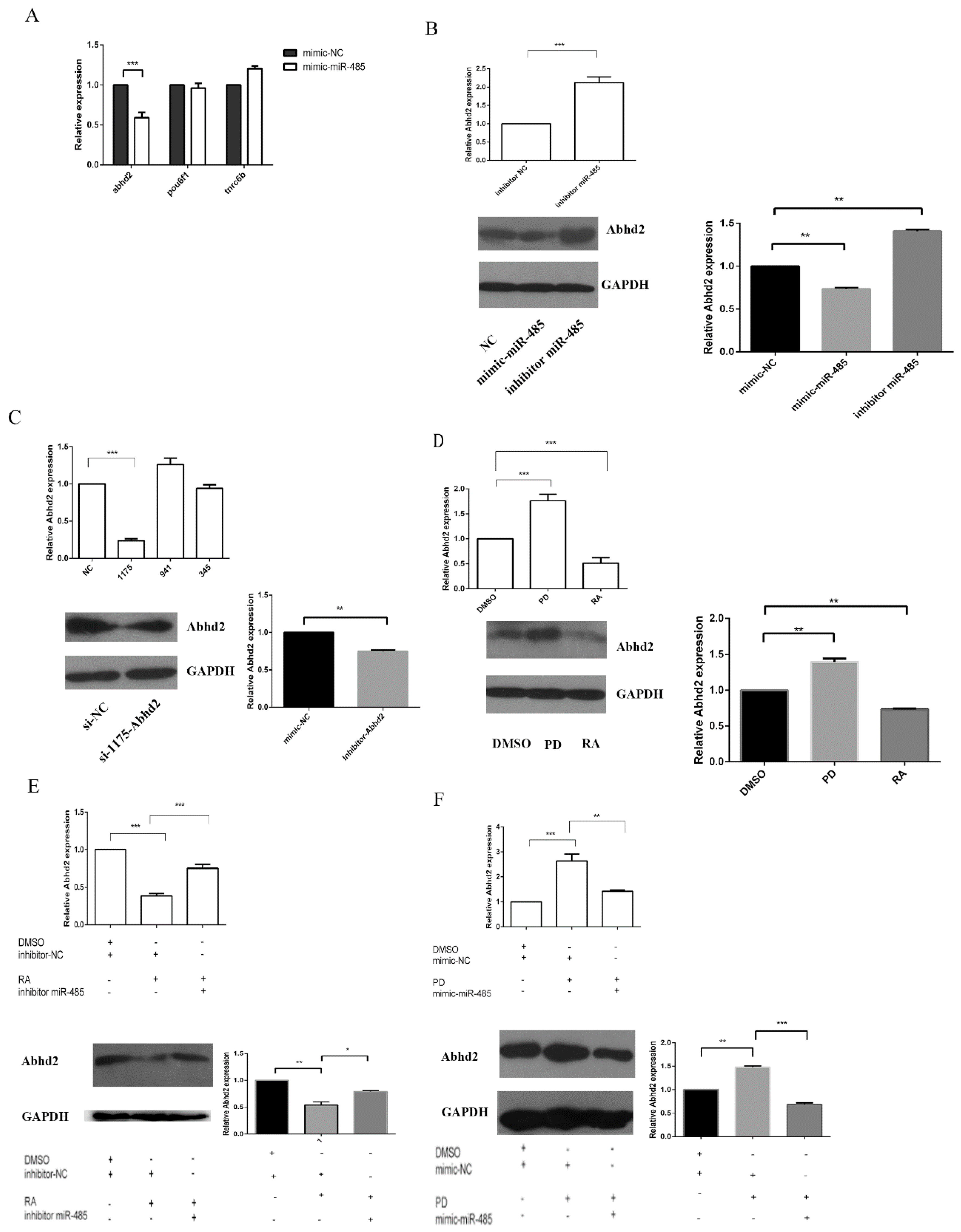 Ijms 20 02071 g002 Ijms 20 02071 g002