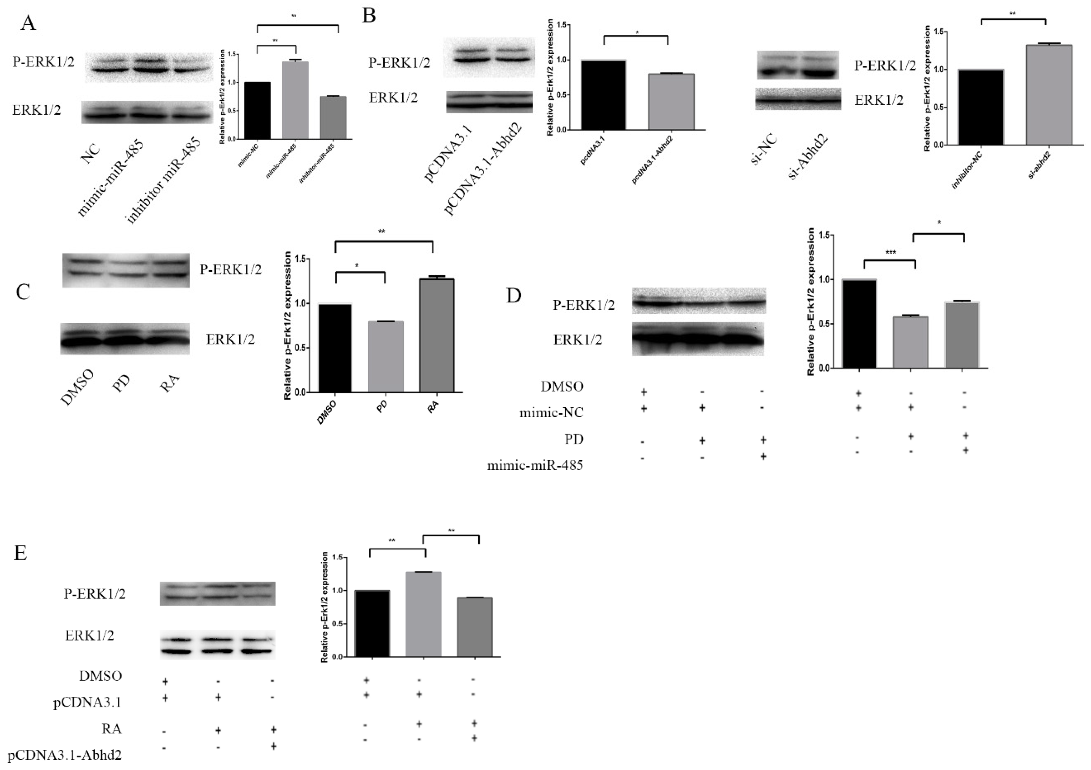 Ijms 20 02071 g004 Ijms 20 02071 g004