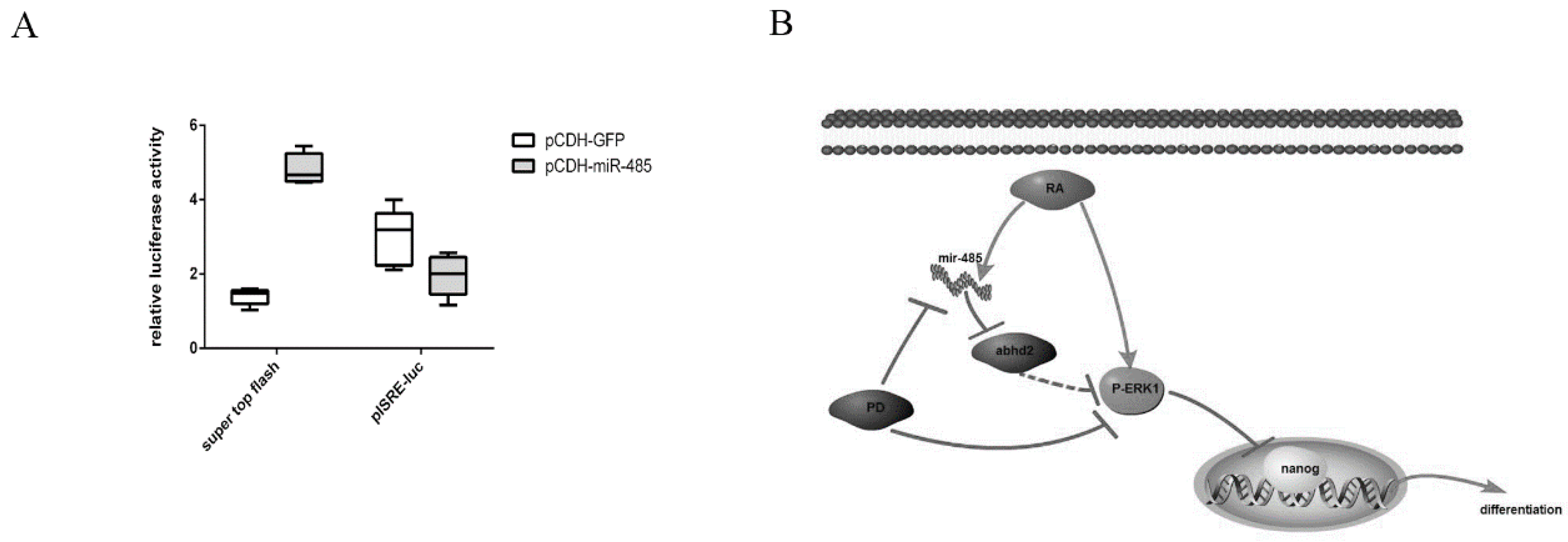 Ijms 20 02071 g006 Ijms 20 02071 g006