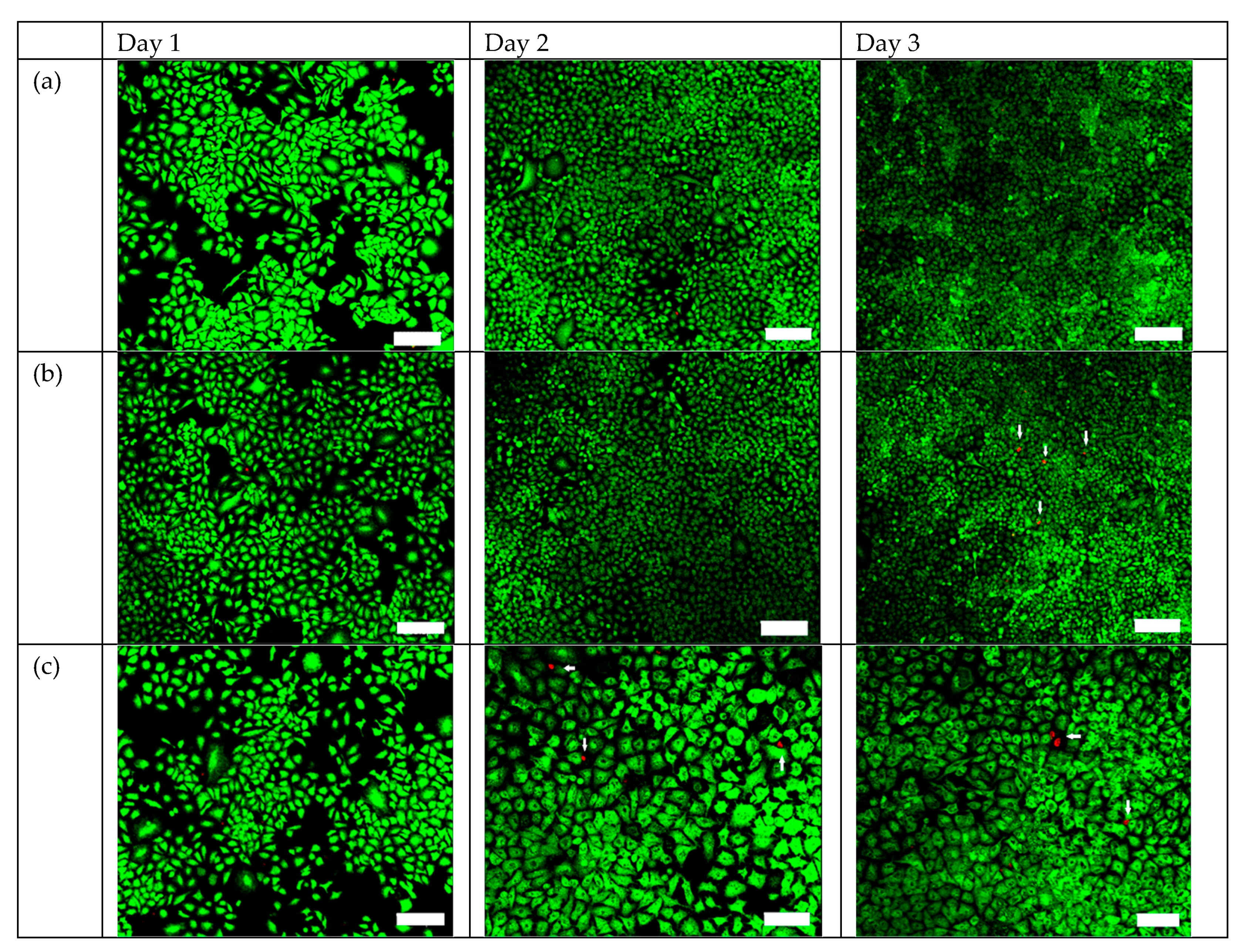 Ijms 20 02072 g005a Ijms 20 02072 g005a