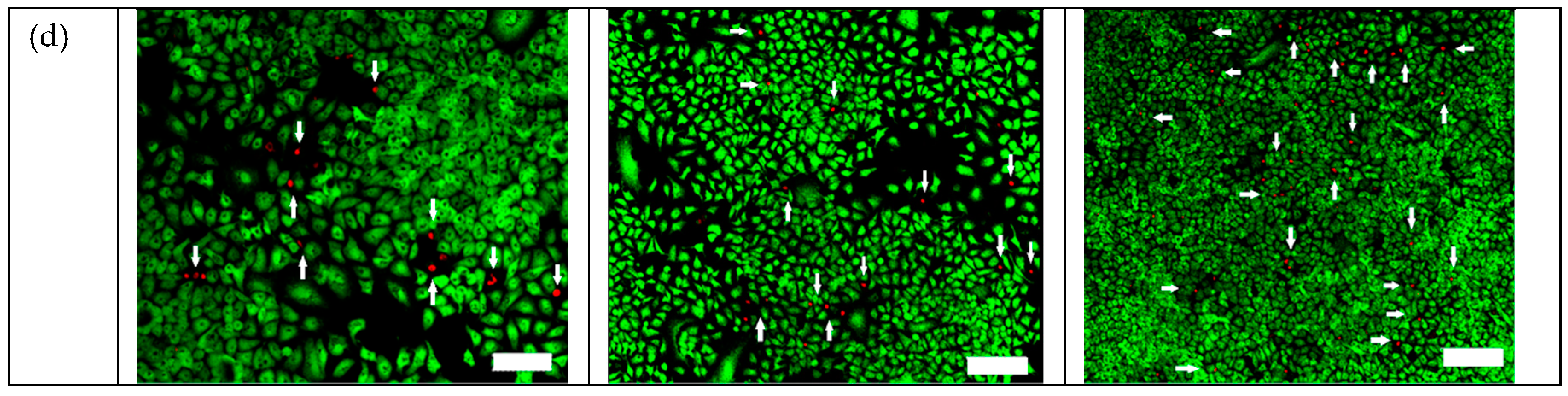 Ijms 20 02072 g005b Ijms 20 02072 g005b