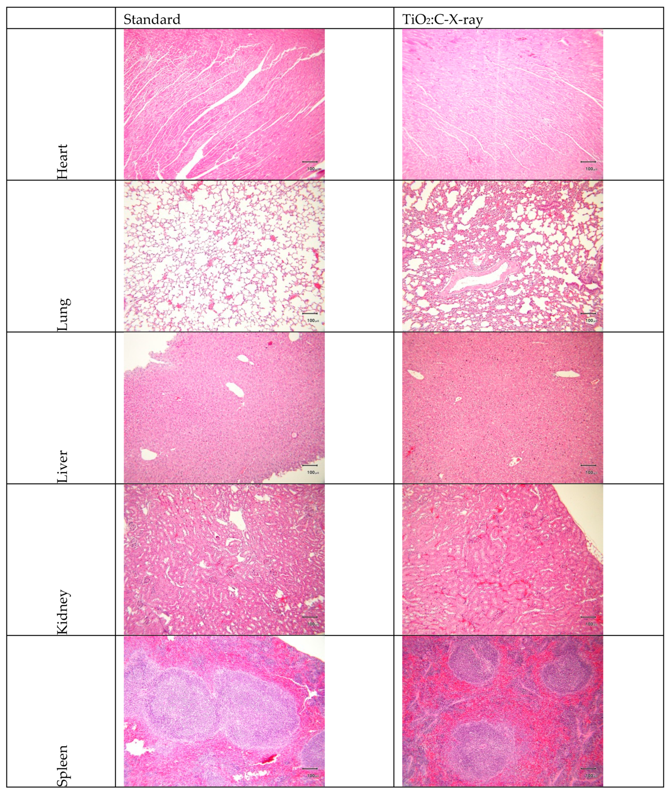 Ijms 20 02072 g007 Ijms 20 02072 g007