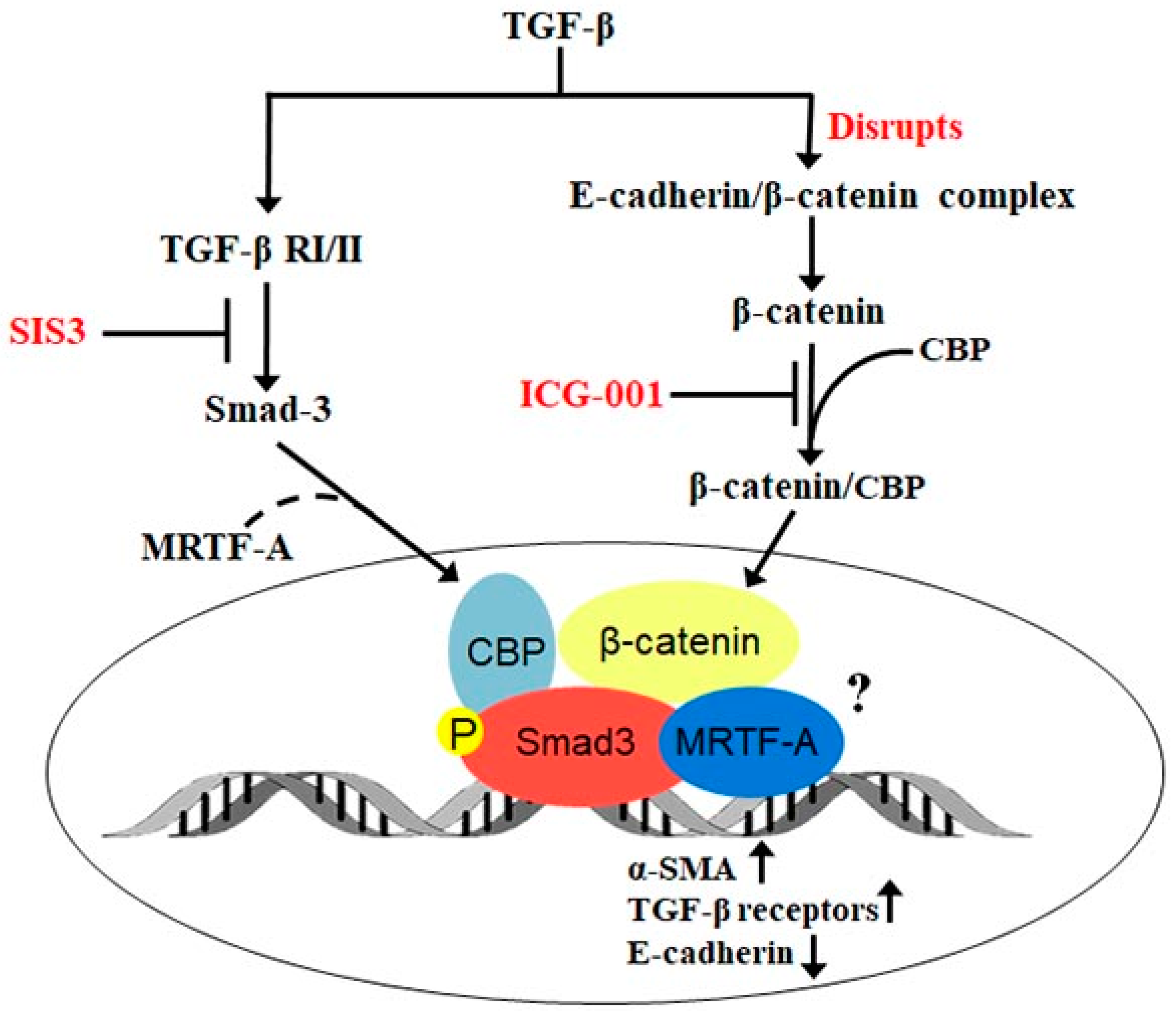 Fig 1 Lecs Instrument Schematic