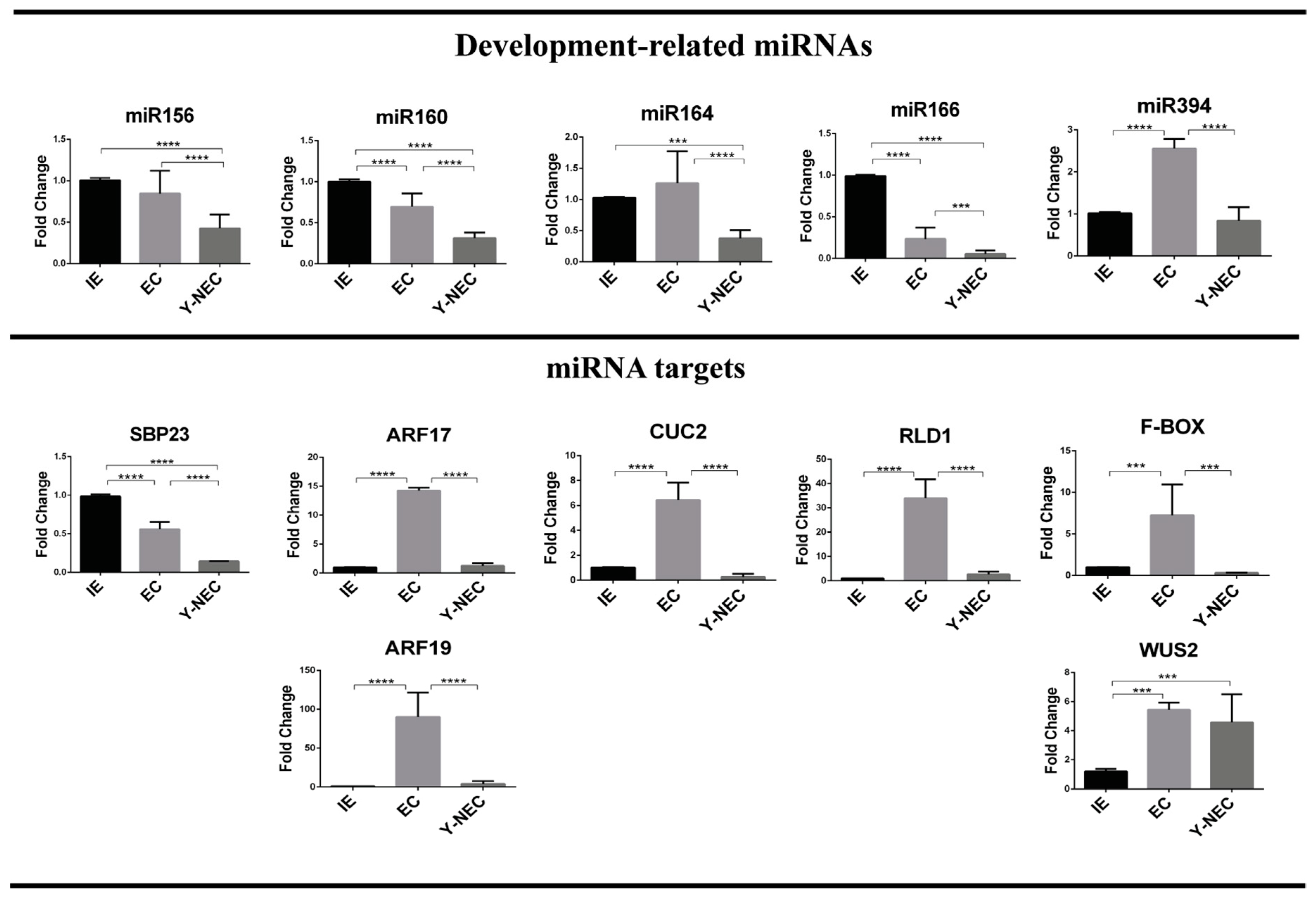 Ijms 20 02079 g004 Ijms 20 02079 g004
