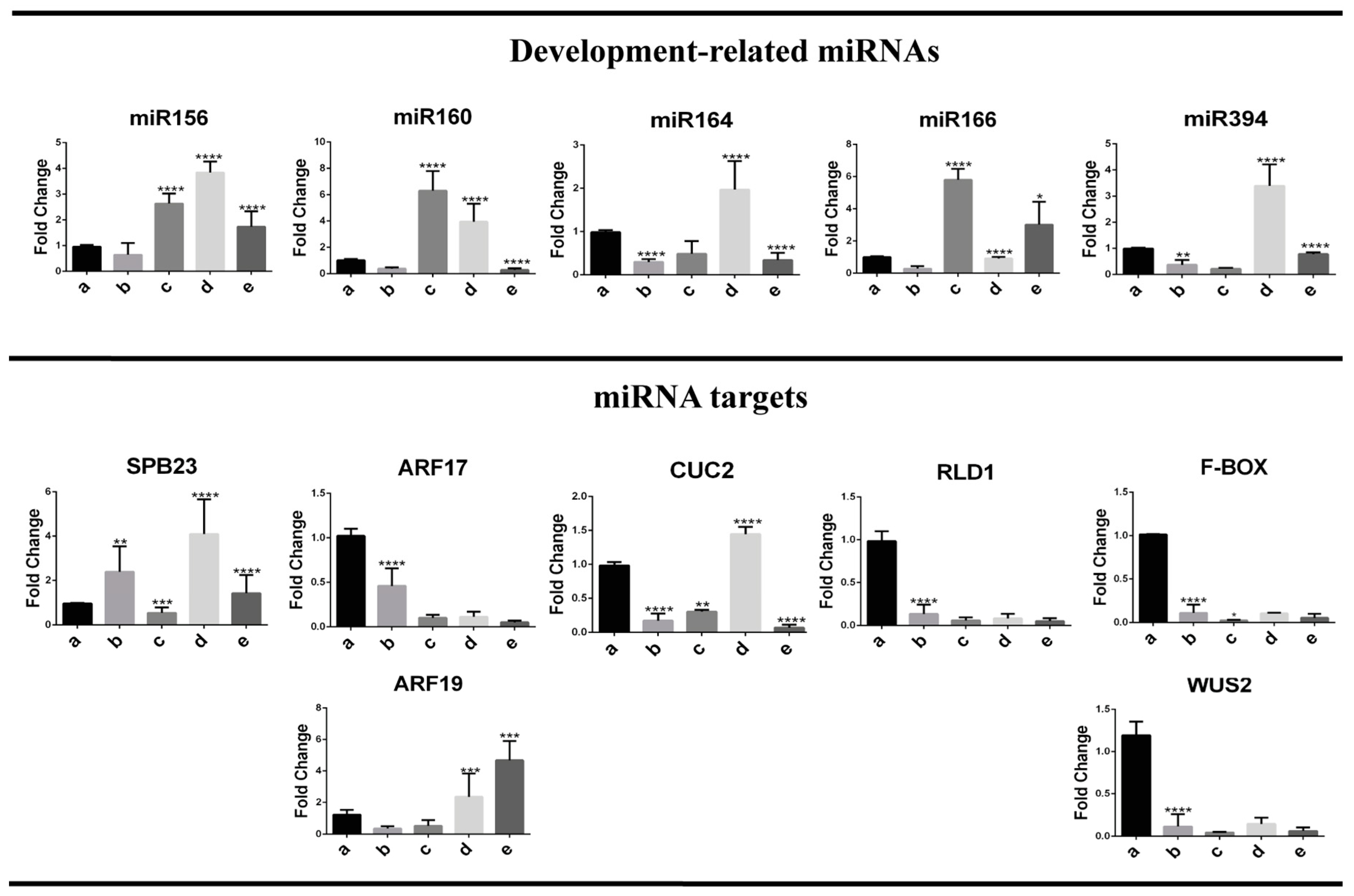 Ijms 20 02079 g005 Ijms 20 02079 g005