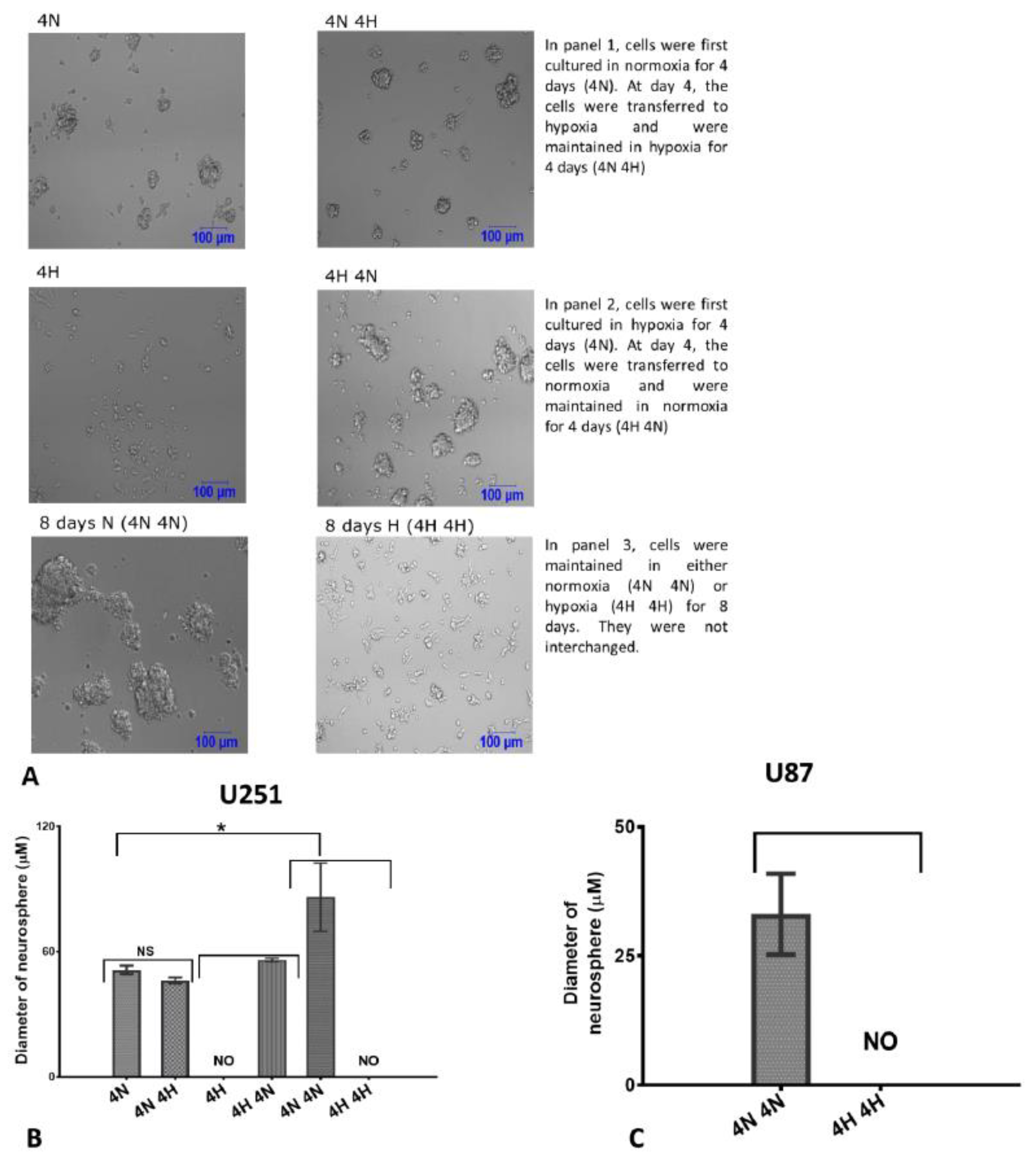 Ijms 20 02091 g003