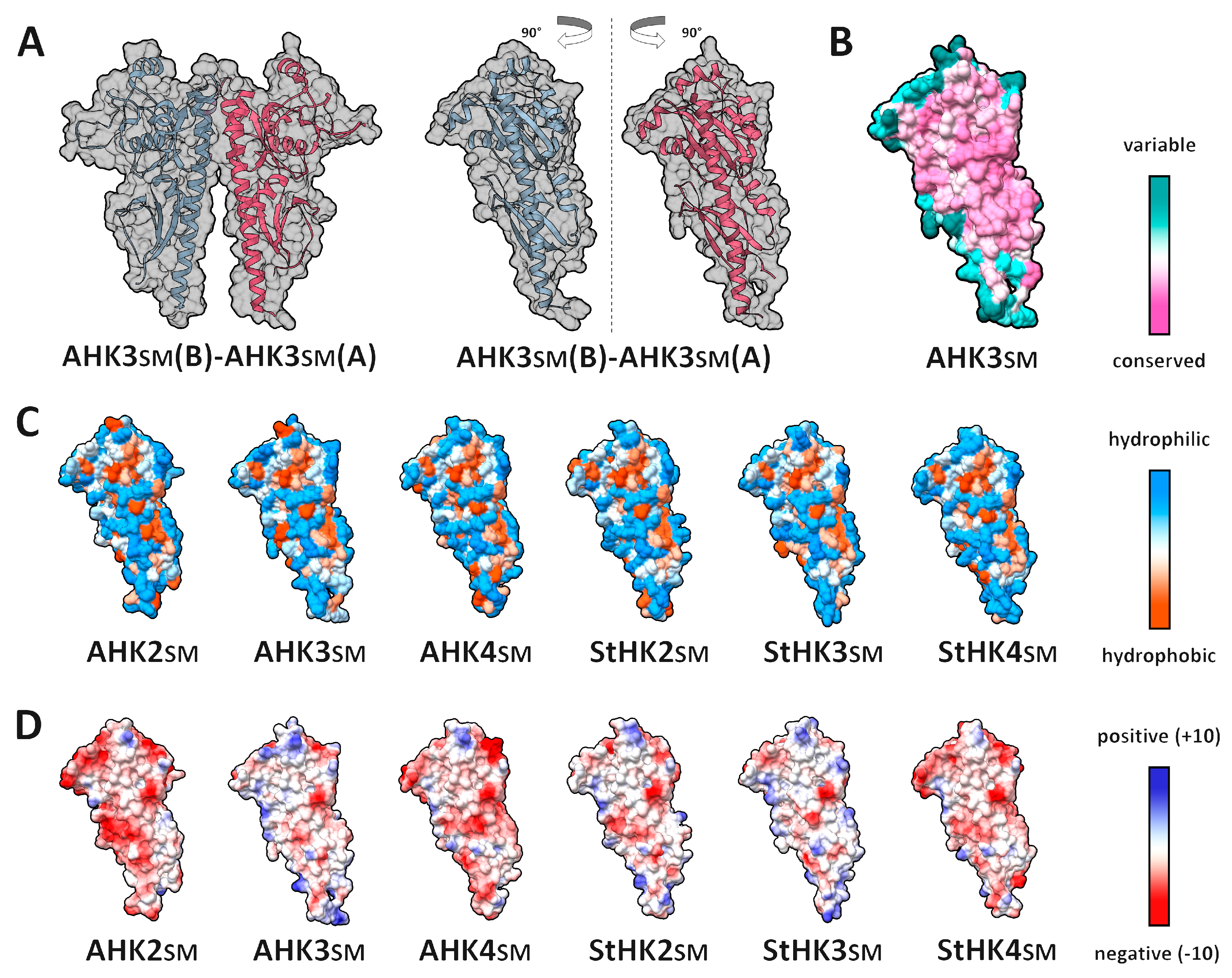 IJMS Free FullText Modeling of ProteinProtein Interactions in