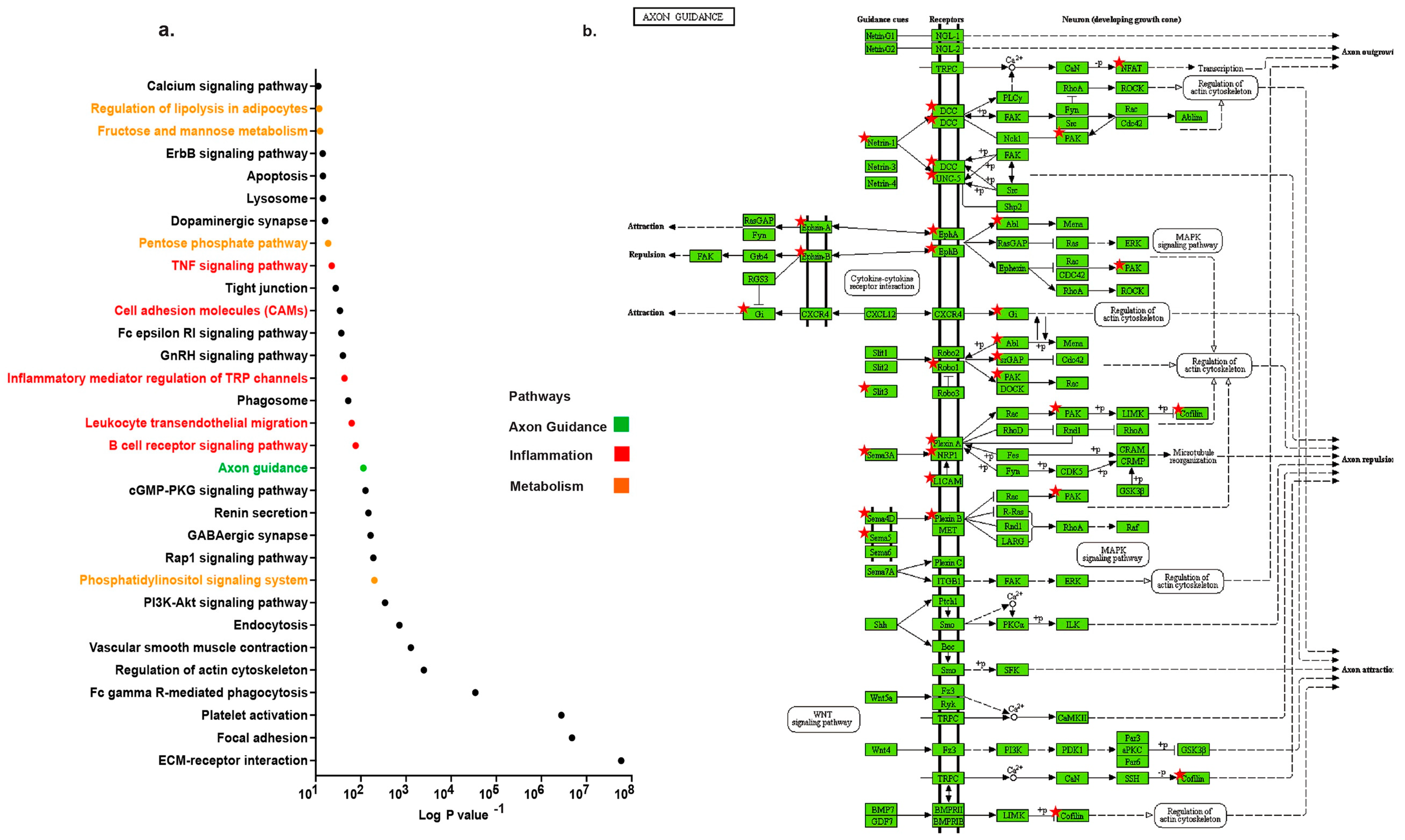 Ijms 20 02100 g001 Ijms 20 02100 g001