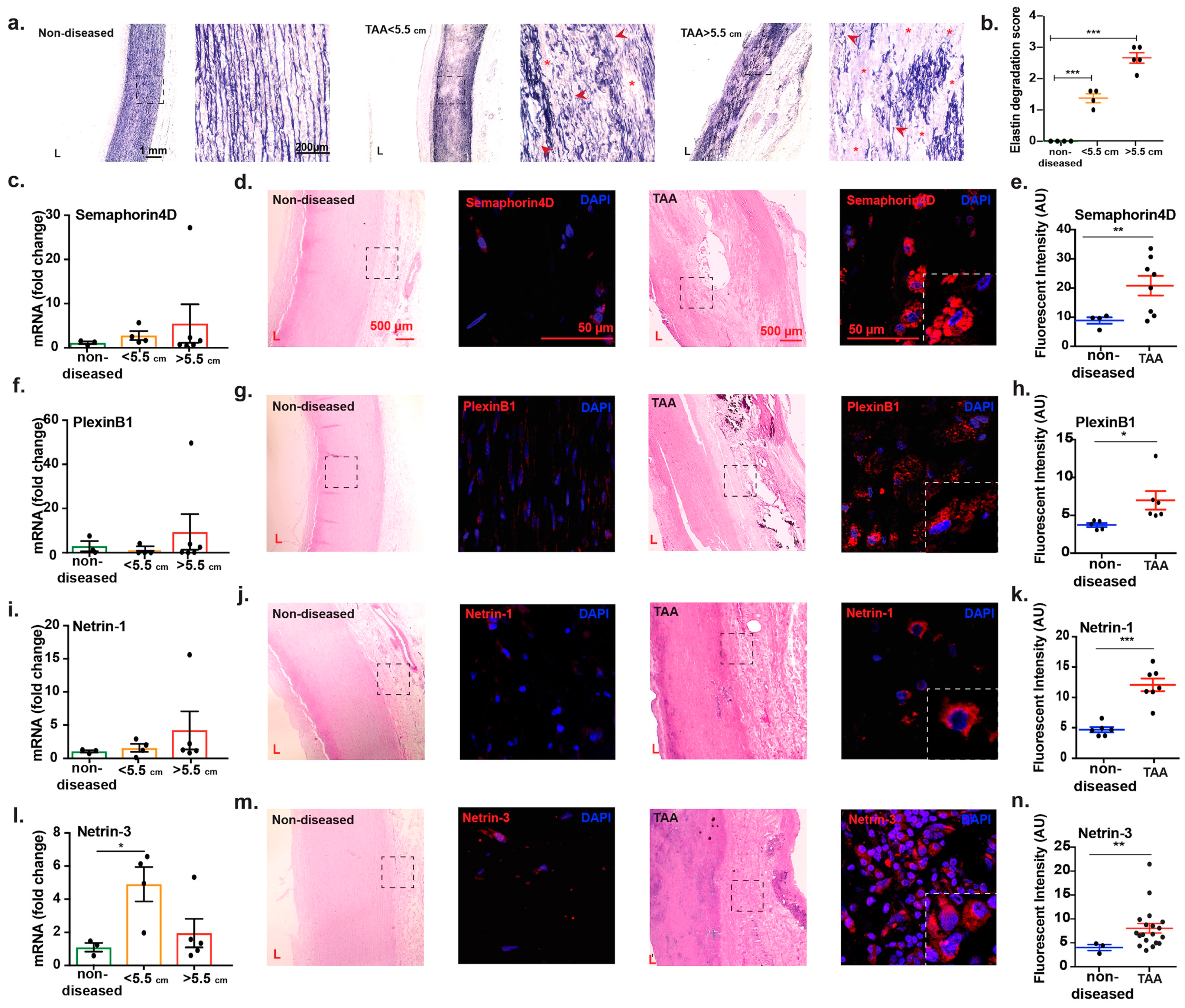 Ijms 20 02100 g003 Ijms 20 02100 g003