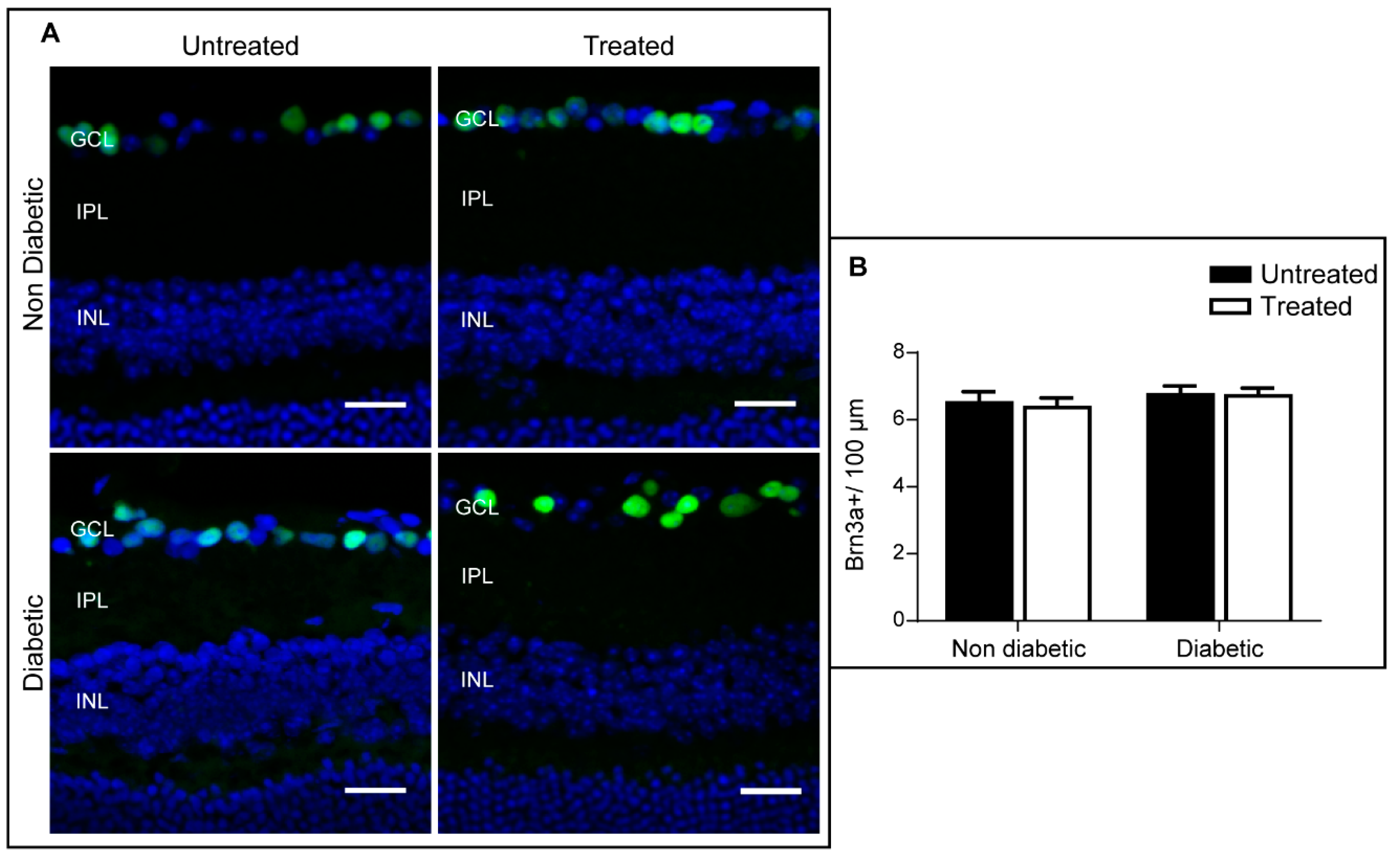Ijms 20 02101 g006 Ijms 20 02101 g006