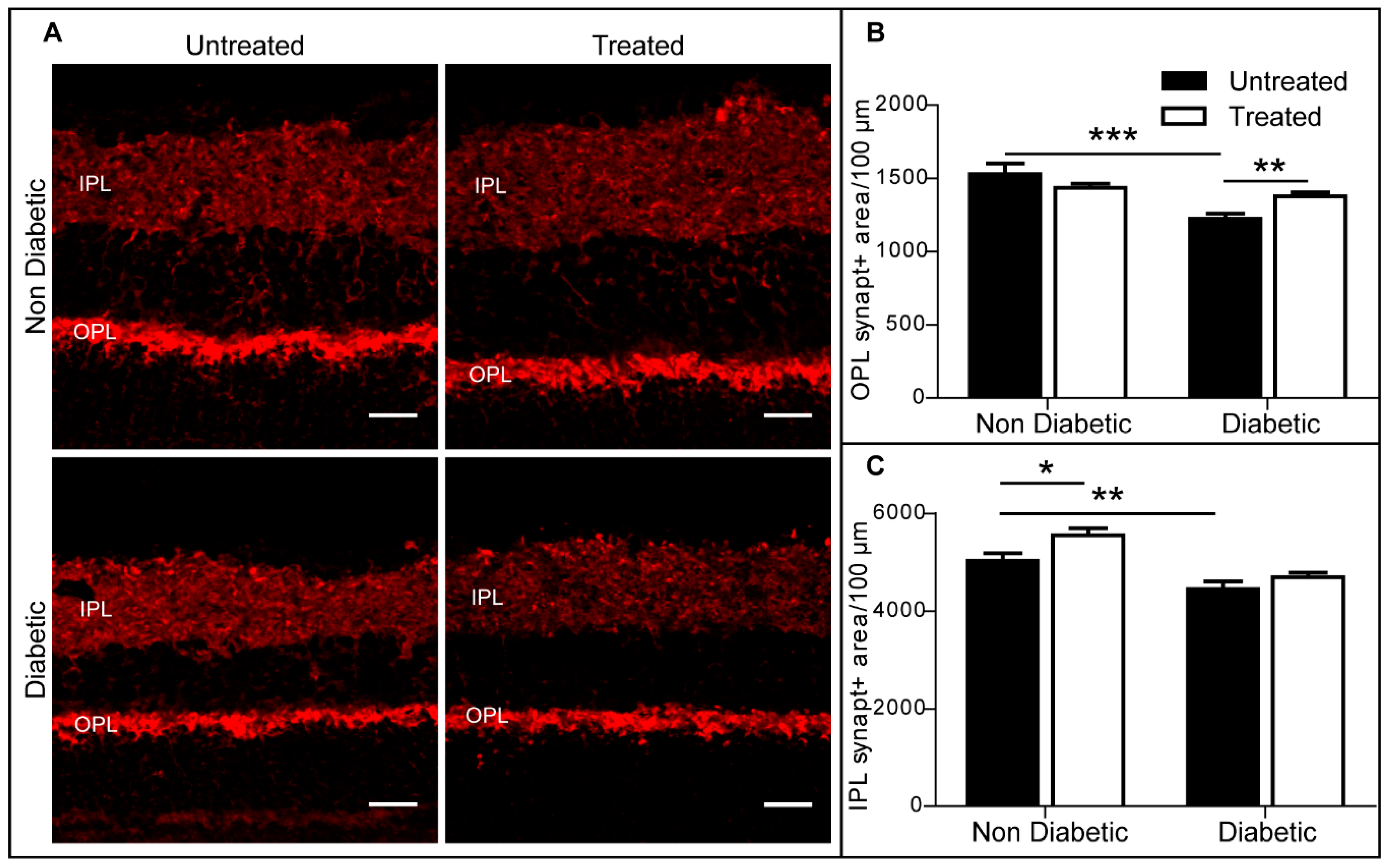 Ijms 20 02101 g007 Ijms 20 02101 g007
