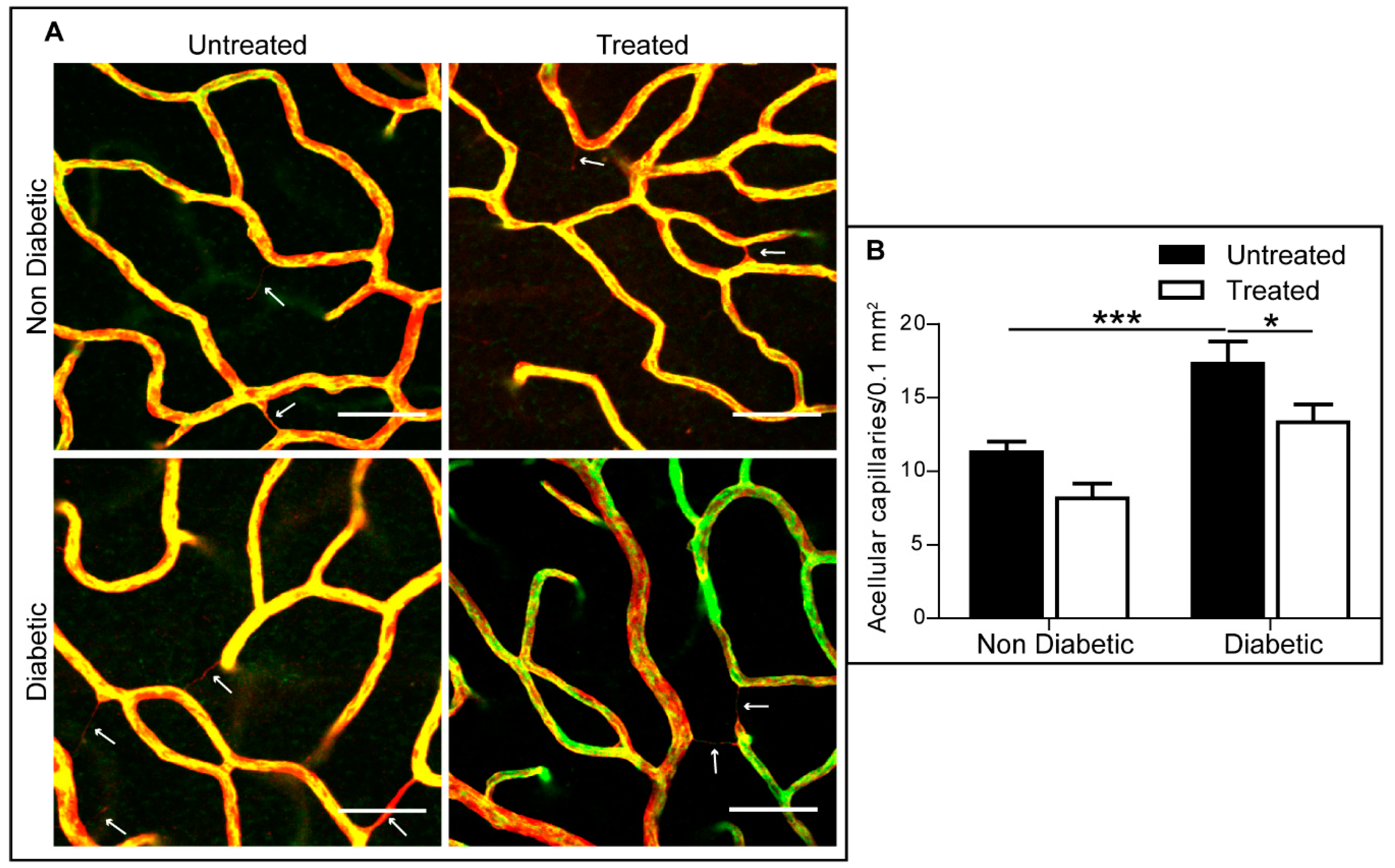 Ijms 20 02101 g008 Ijms 20 02101 g008