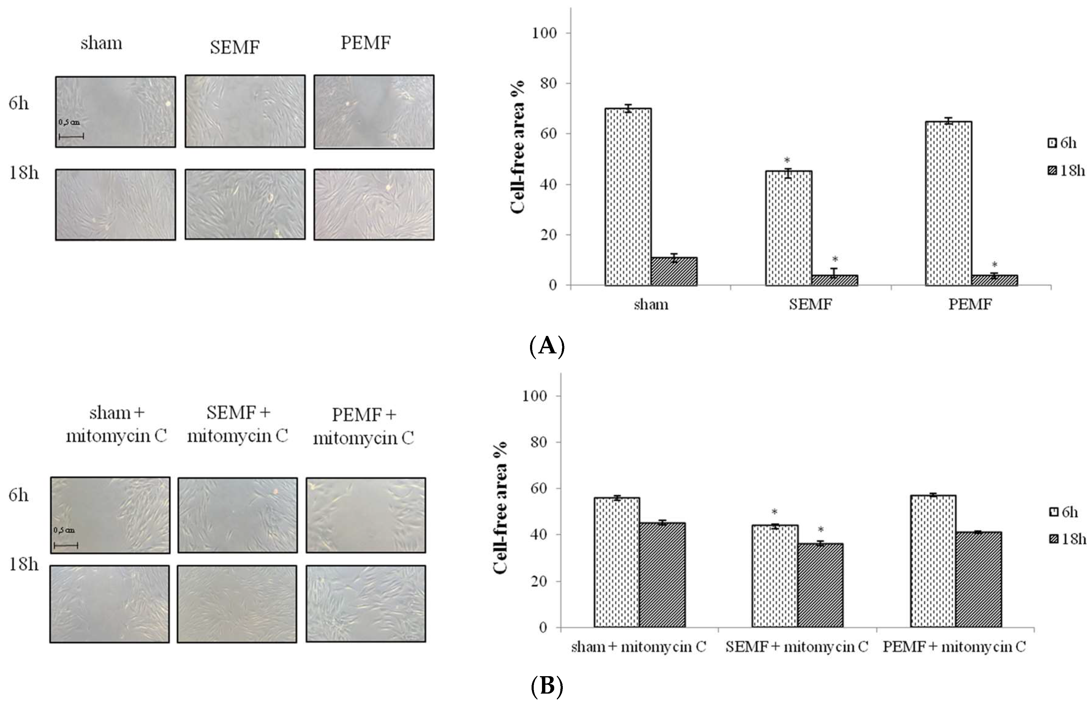 Ijms 20 02108 g003 Ijms 20 02108 g003