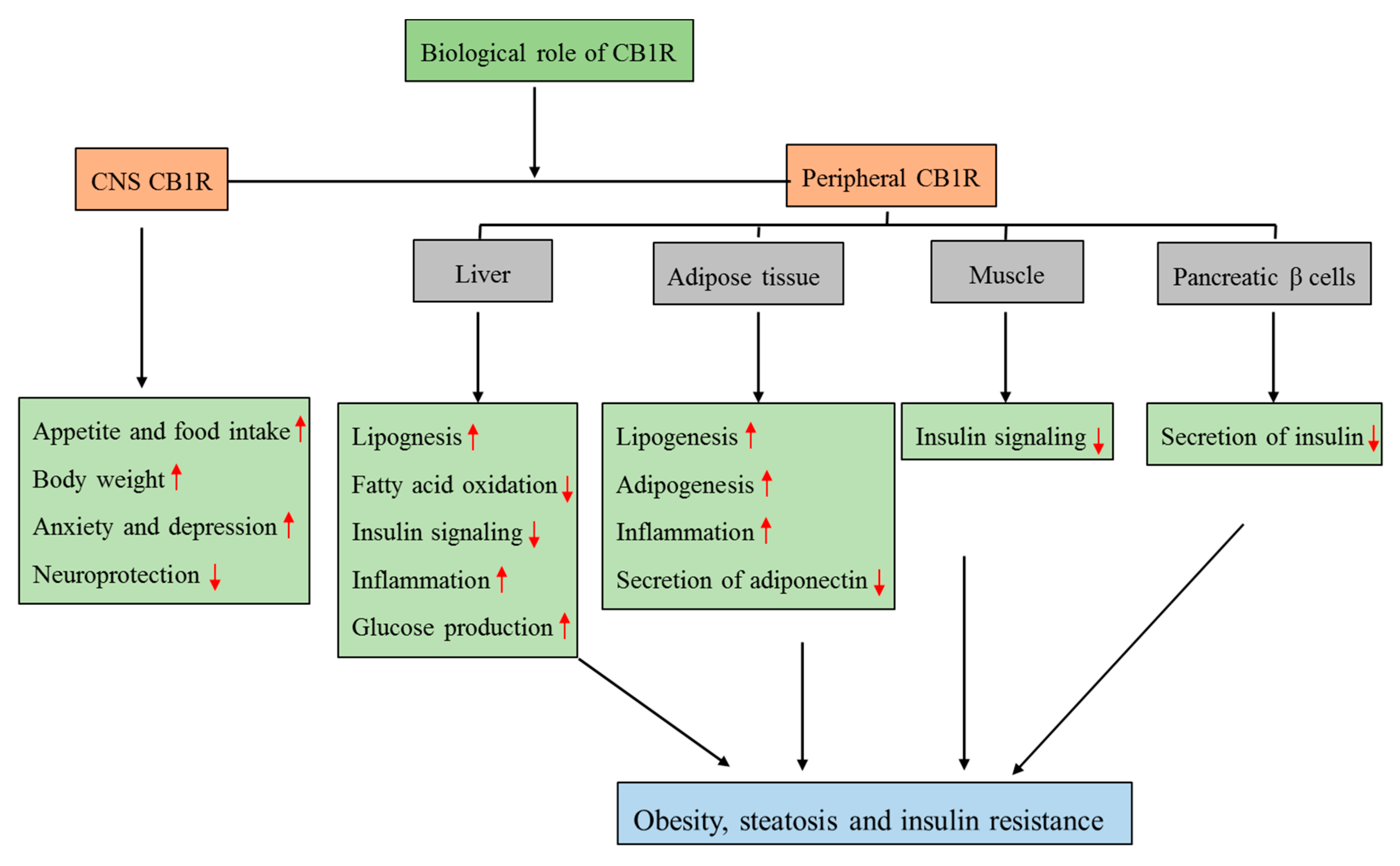 Ijms 20 02109 g002 Ijms 20 02109 g002