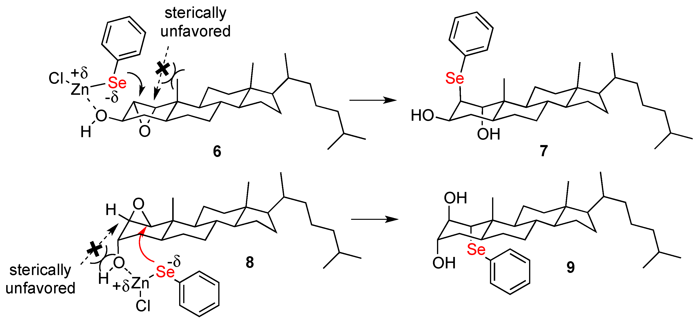 Ijms 20 02121 sch002