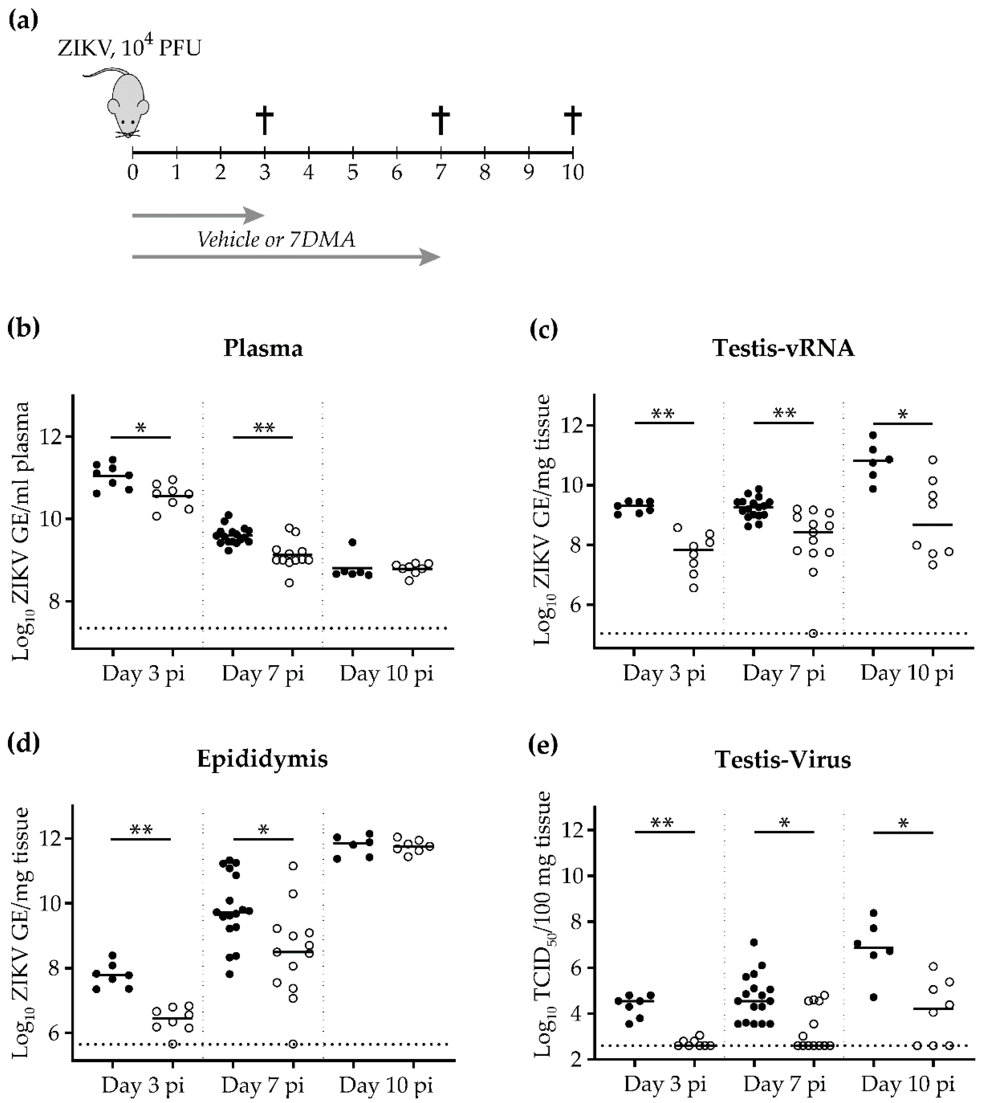 Ijms 20 02122 g001 Ijms 20 02122 g001