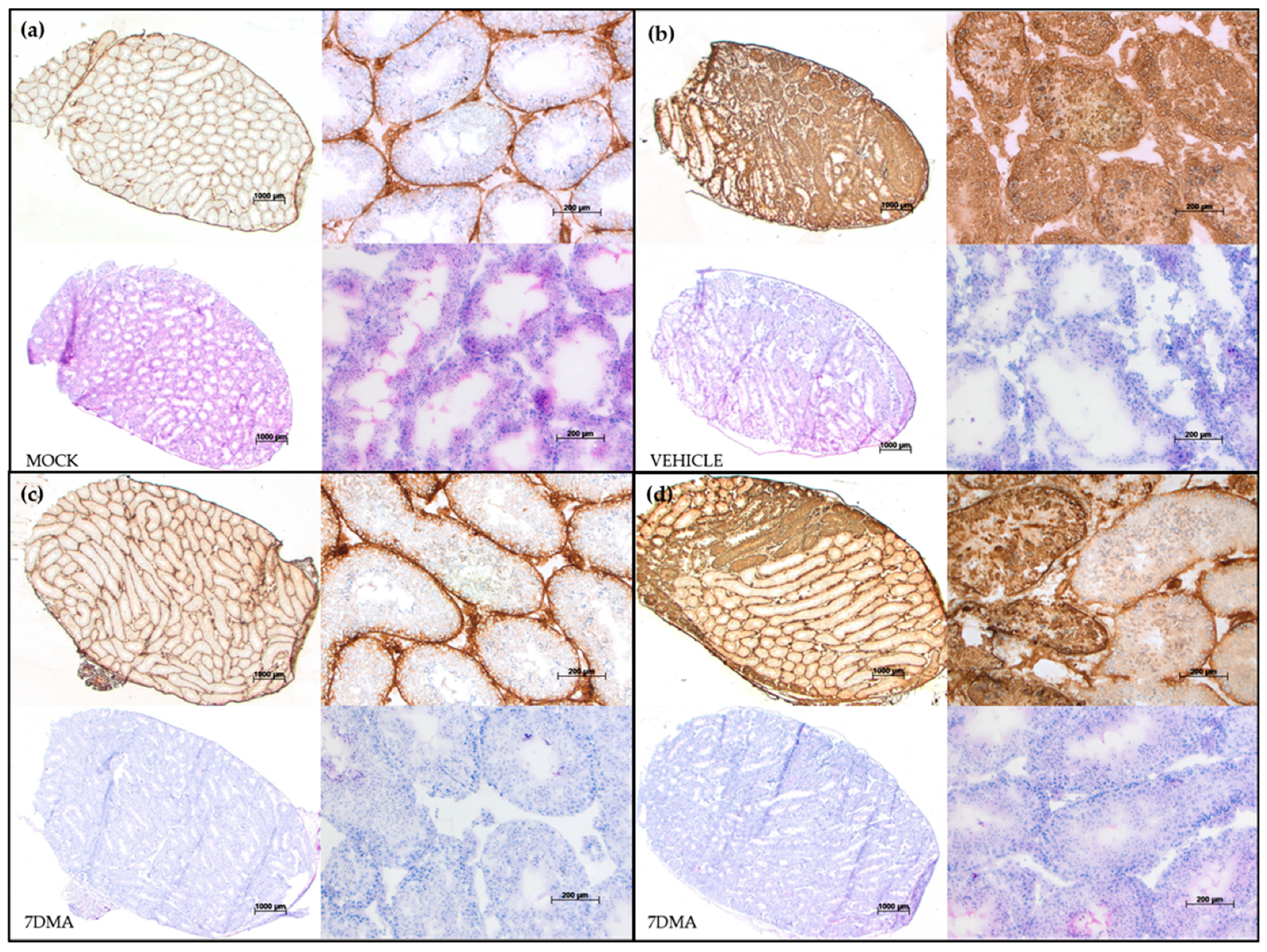Ijms 20 02122 g002 Ijms 20 02122 g002